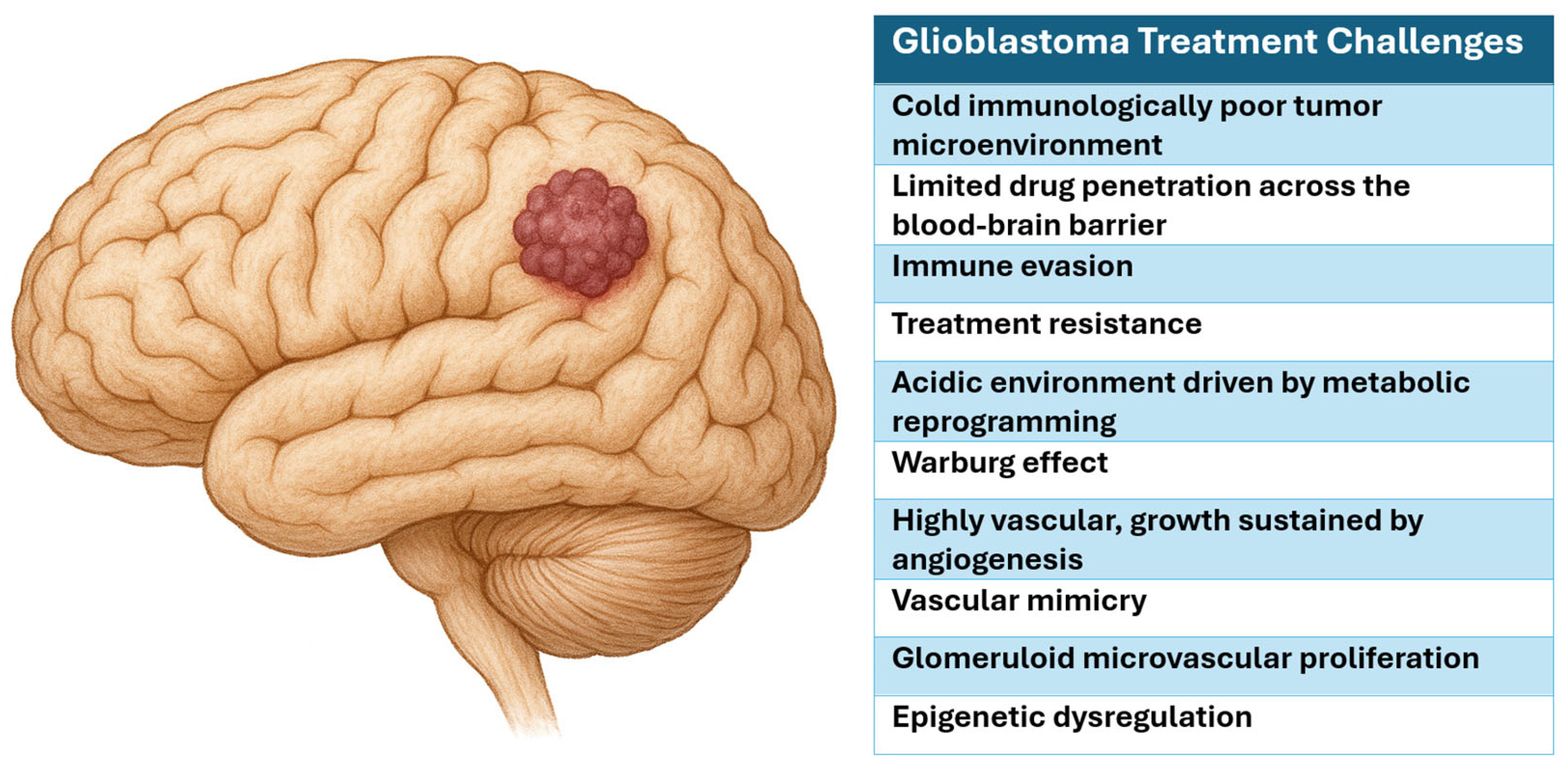Biomedicines 13 01963 g001 Biomedicines 13 01963 g001