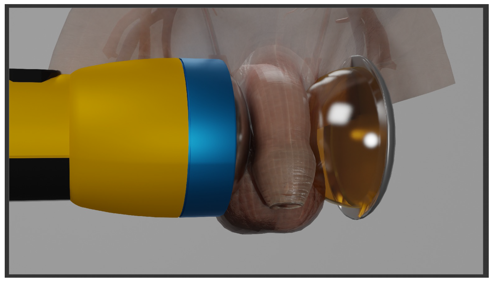 Biomedicines 13 01967 g001