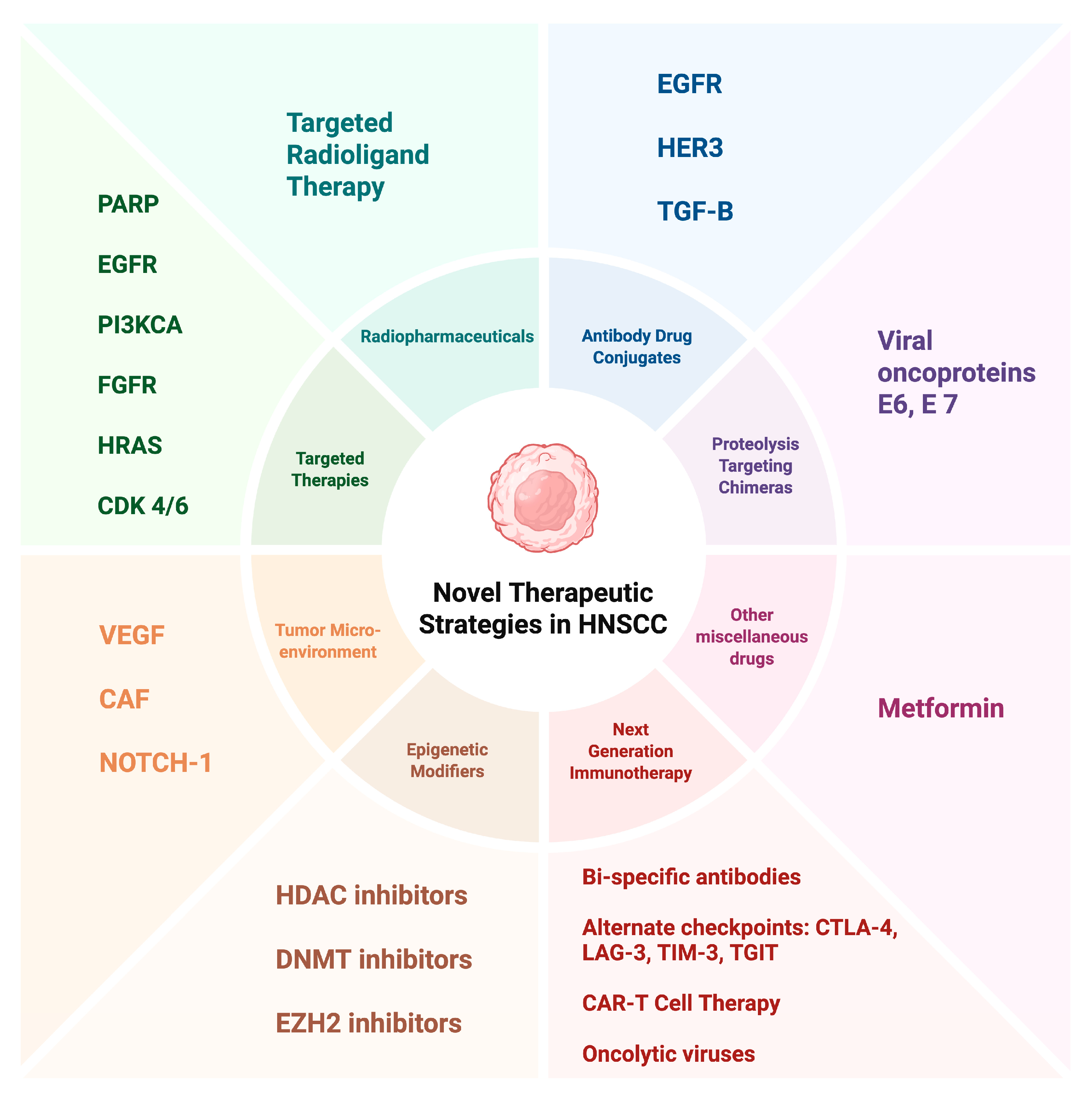 Biomedicines 13 01972 g003