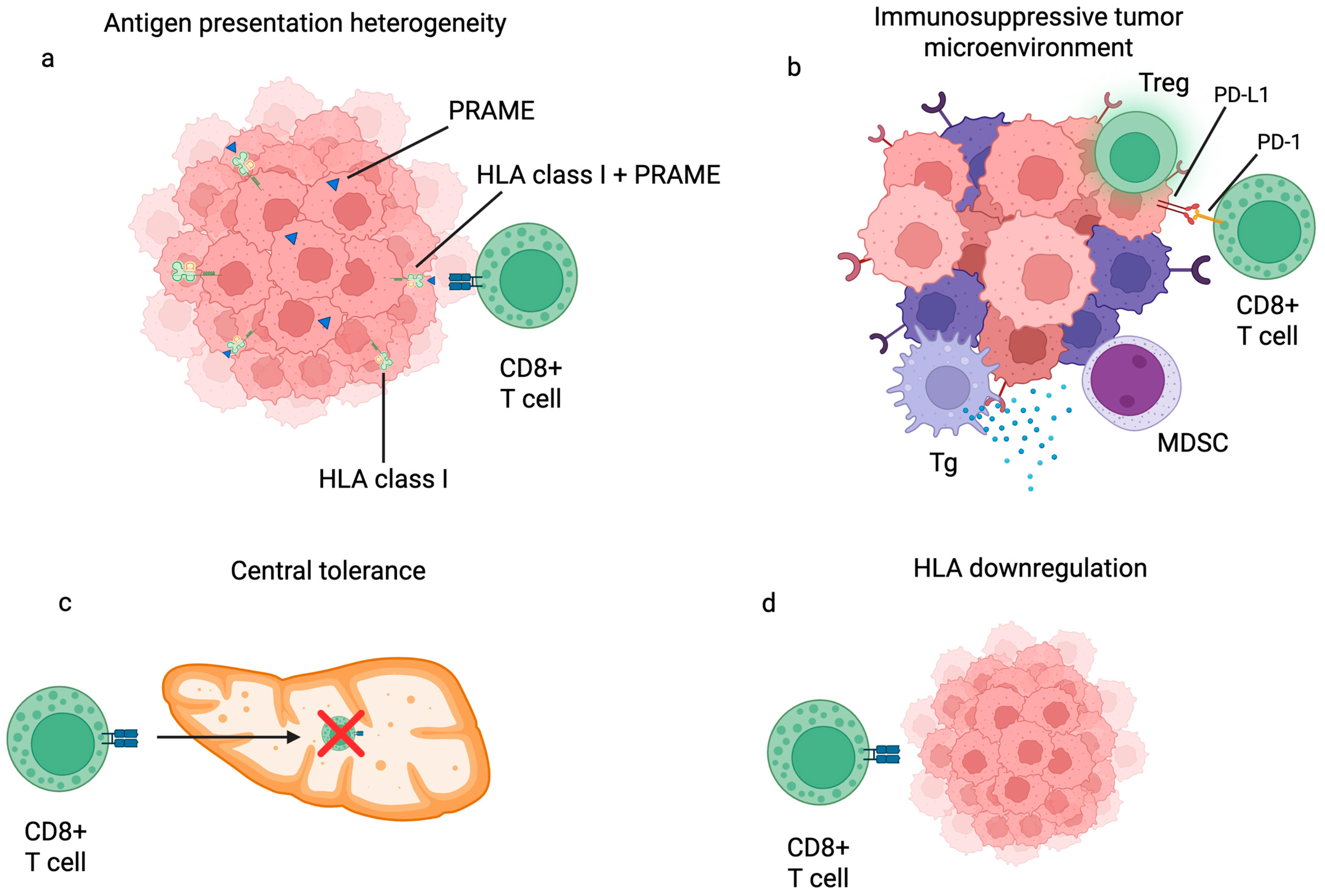 Biomedicines 13 01988 g001