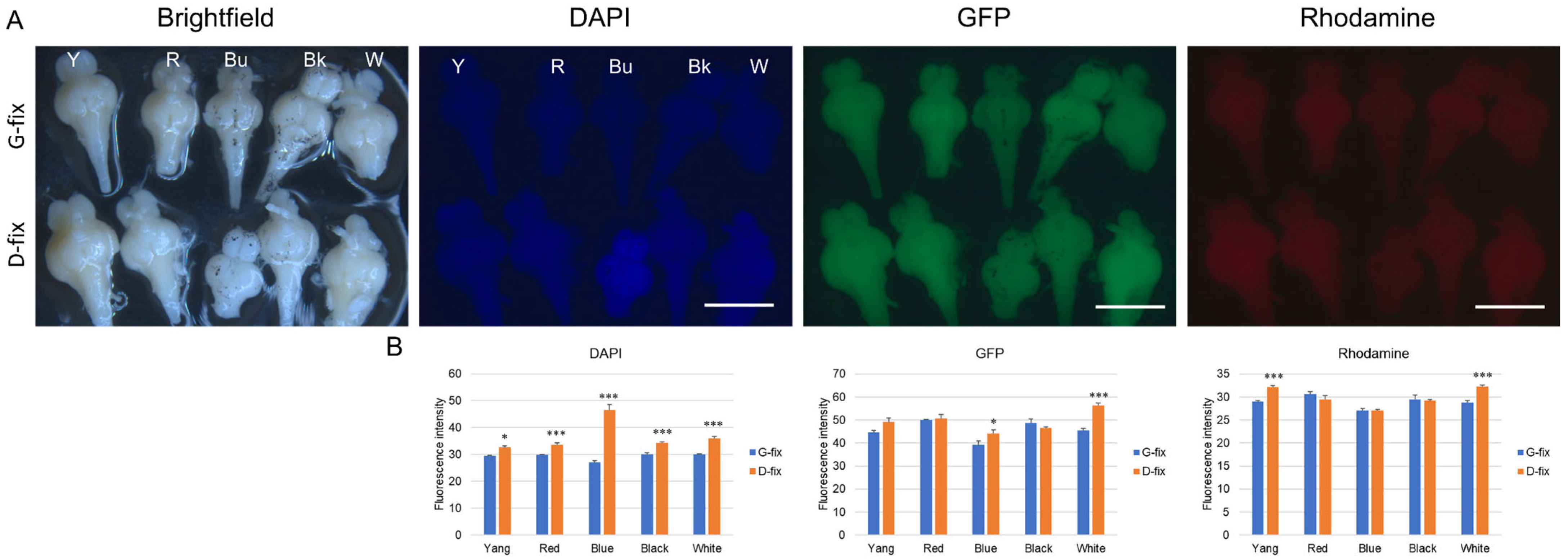 Biomedicines 13 02002 g004