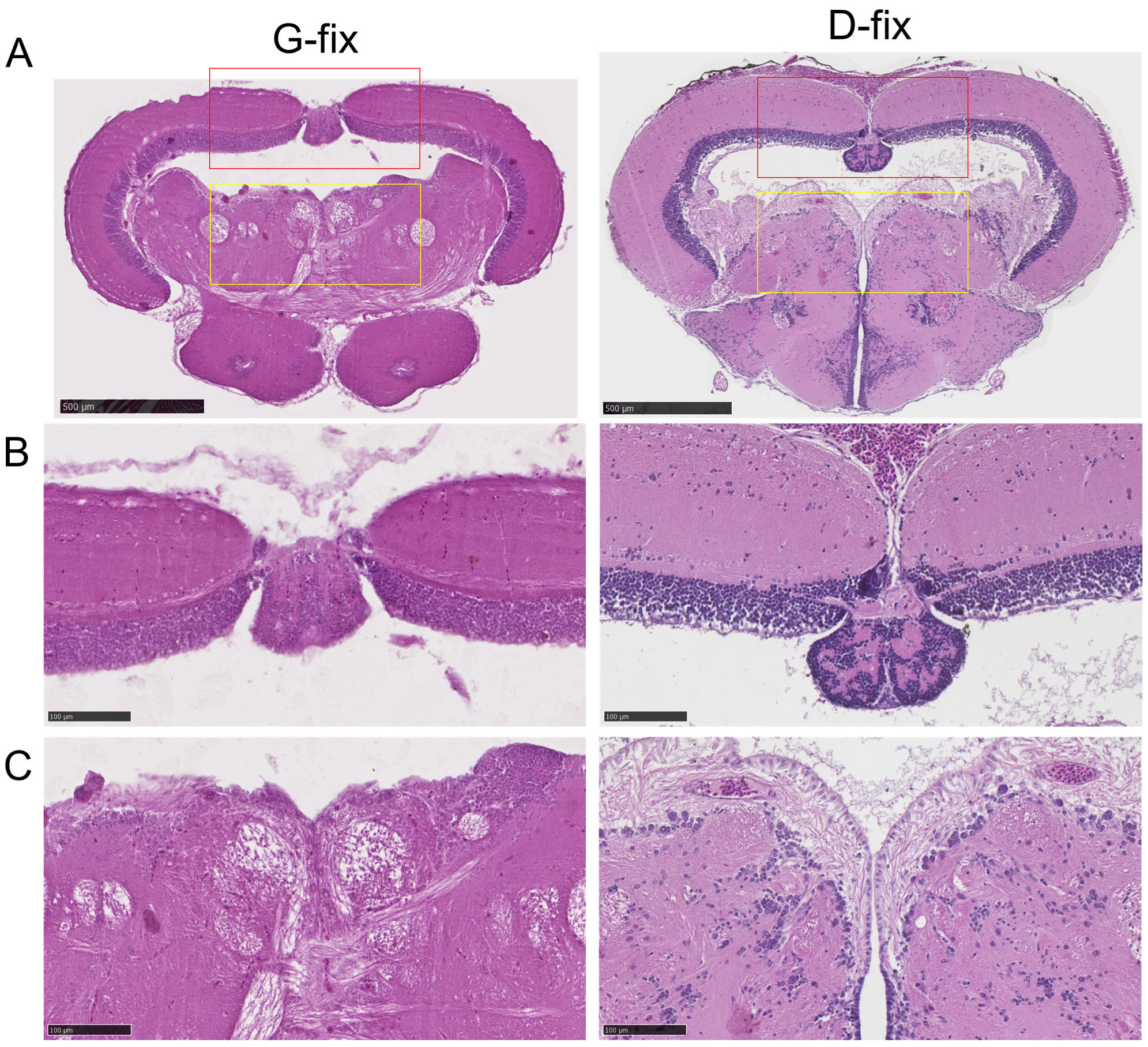 Biomedicines 13 02002 g006