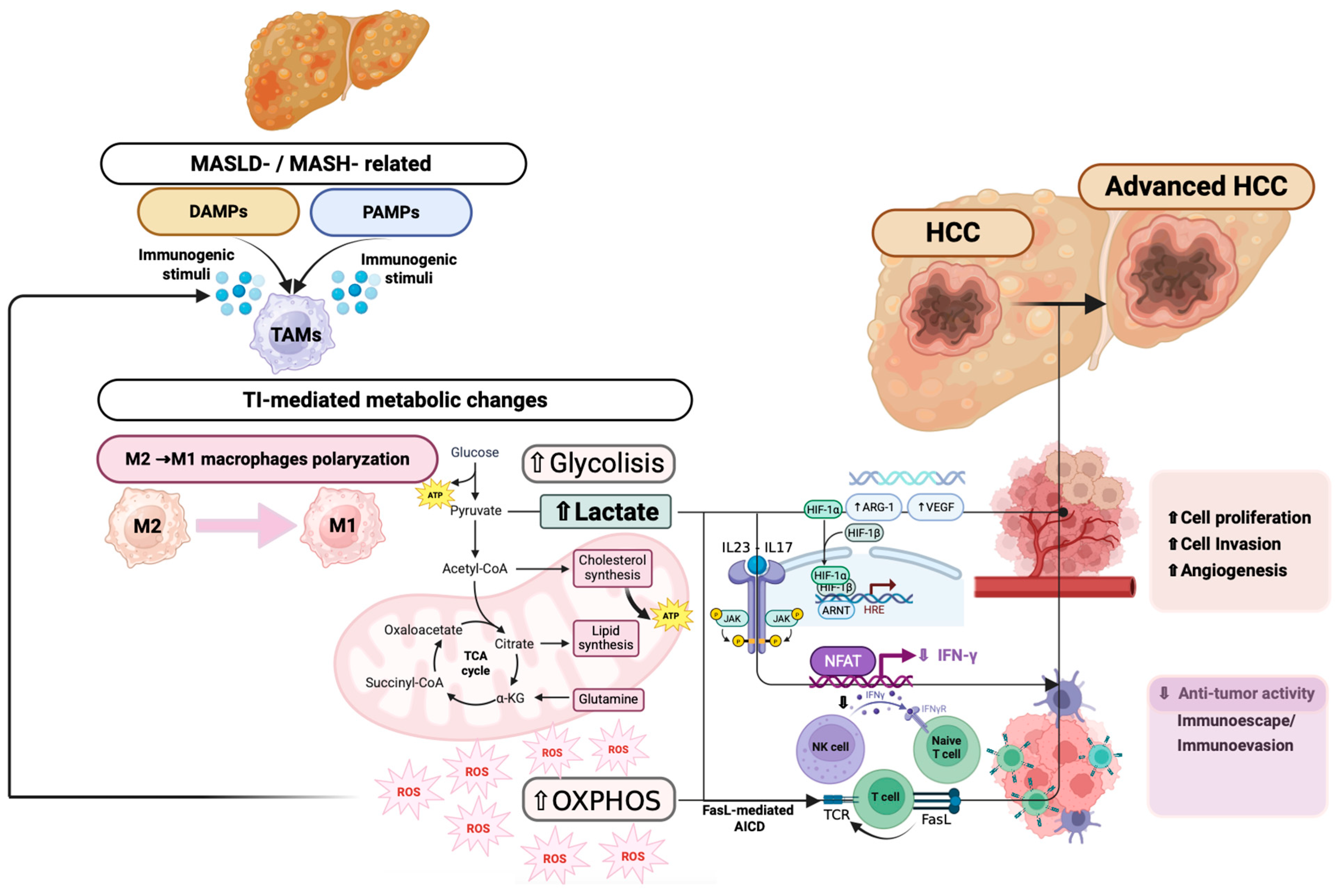 Biomedicines 13 02004 g002 Biomedicines 13 02004 g002