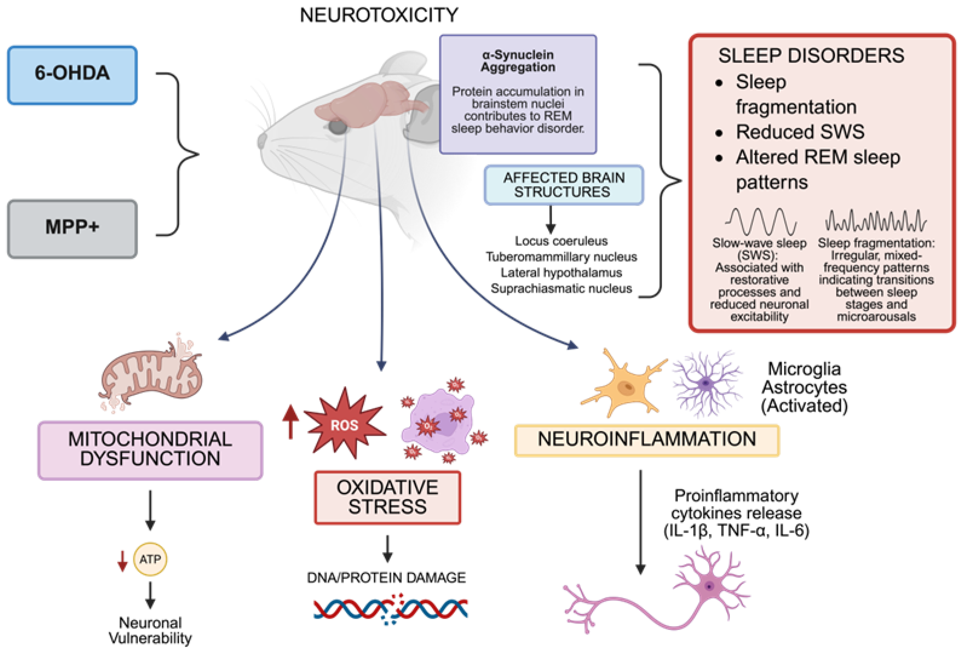 Biomedicines 13 02005 g001