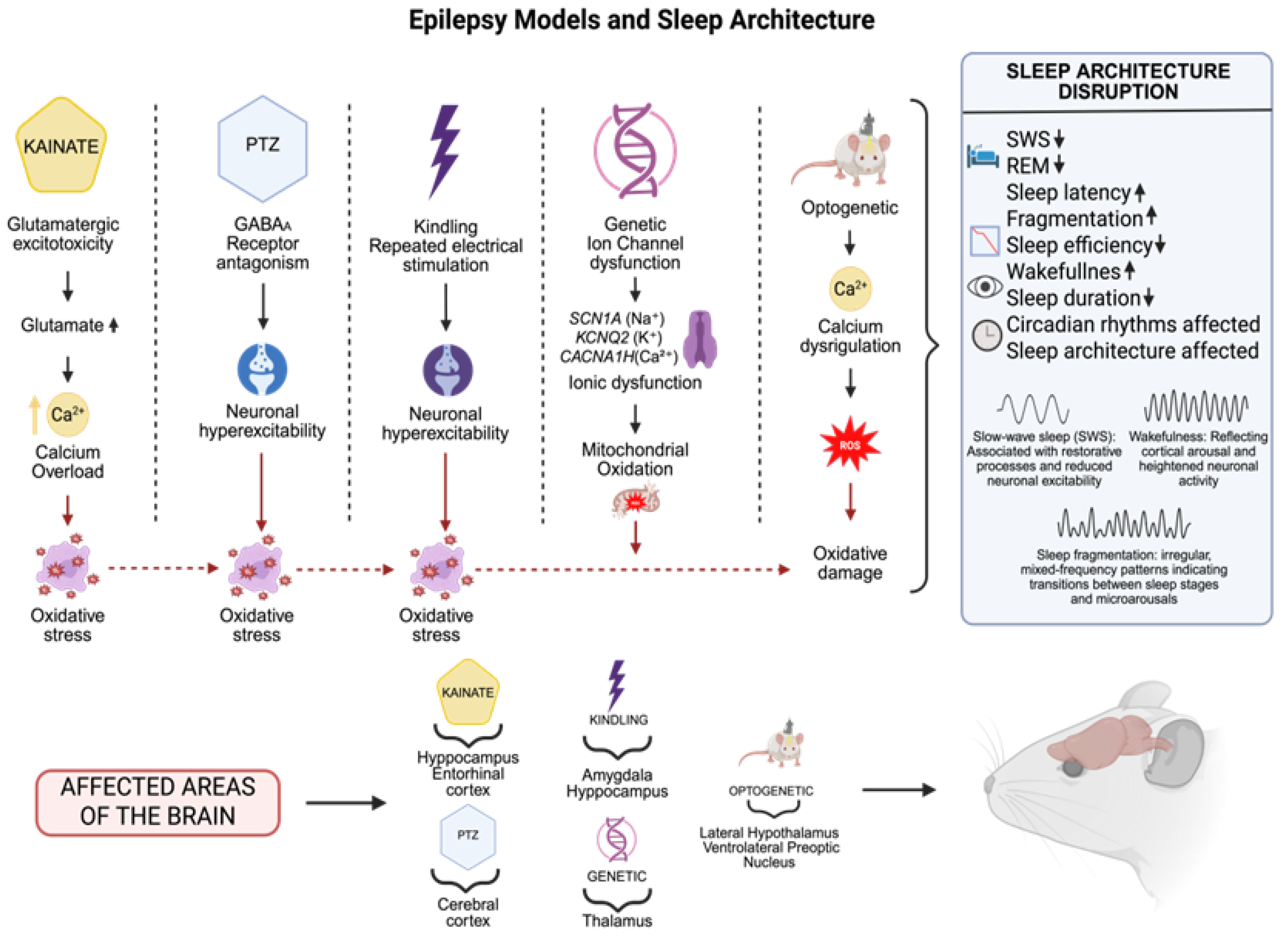 Biomedicines 13 02005 g002