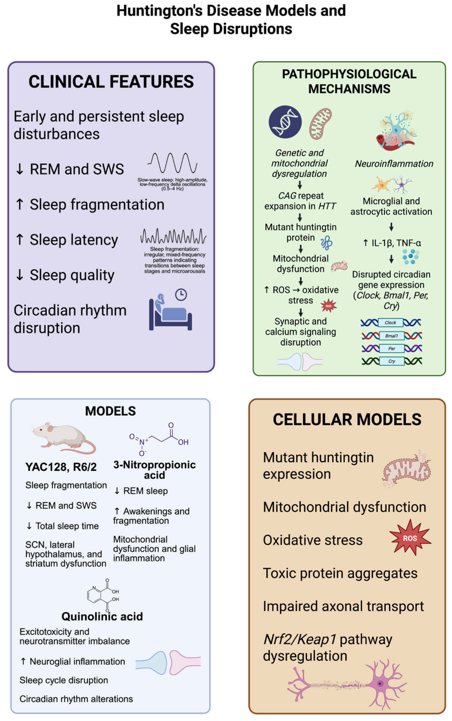 Biomedicines 13 02005 g003