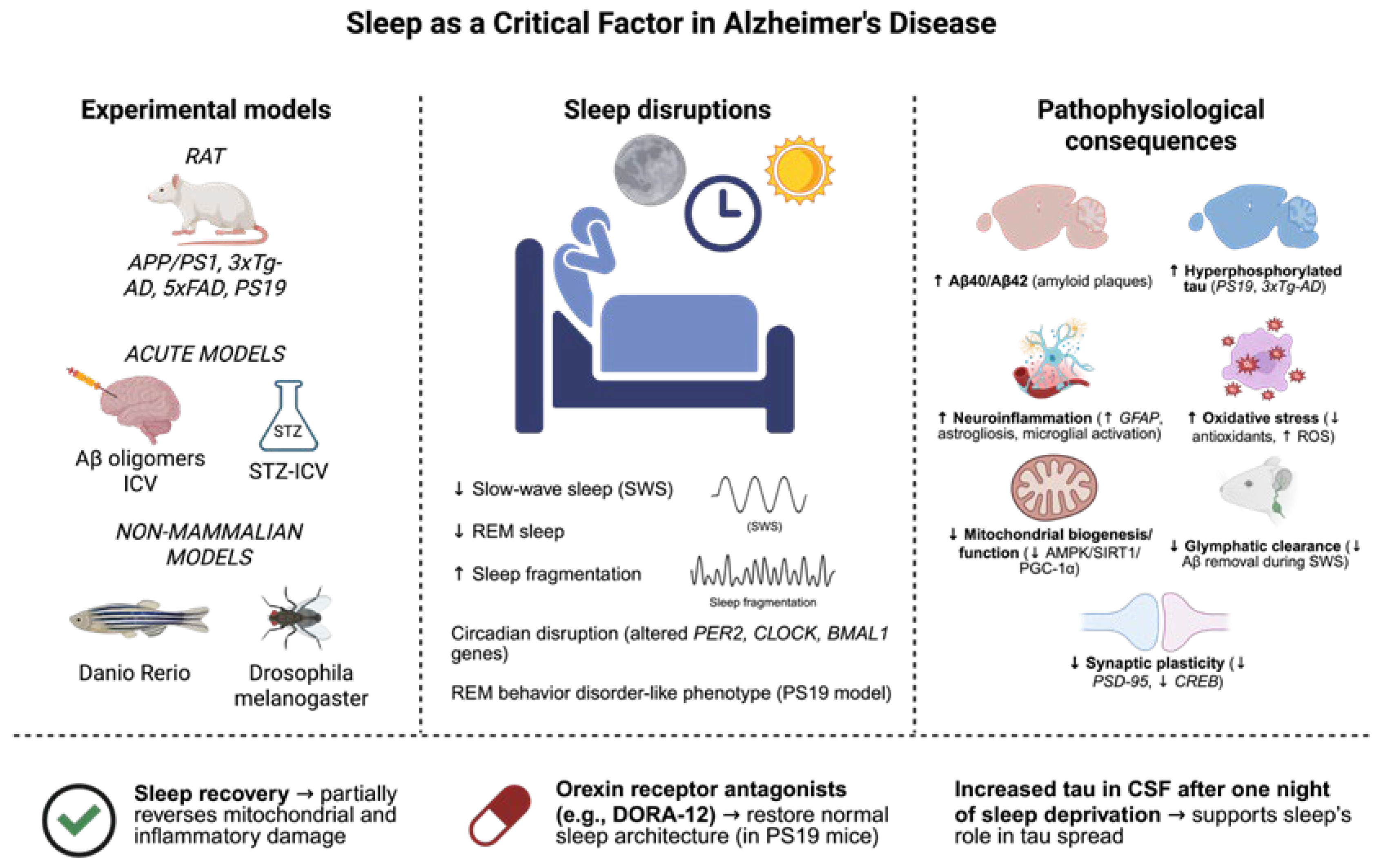 Biomedicines 13 02005 g004