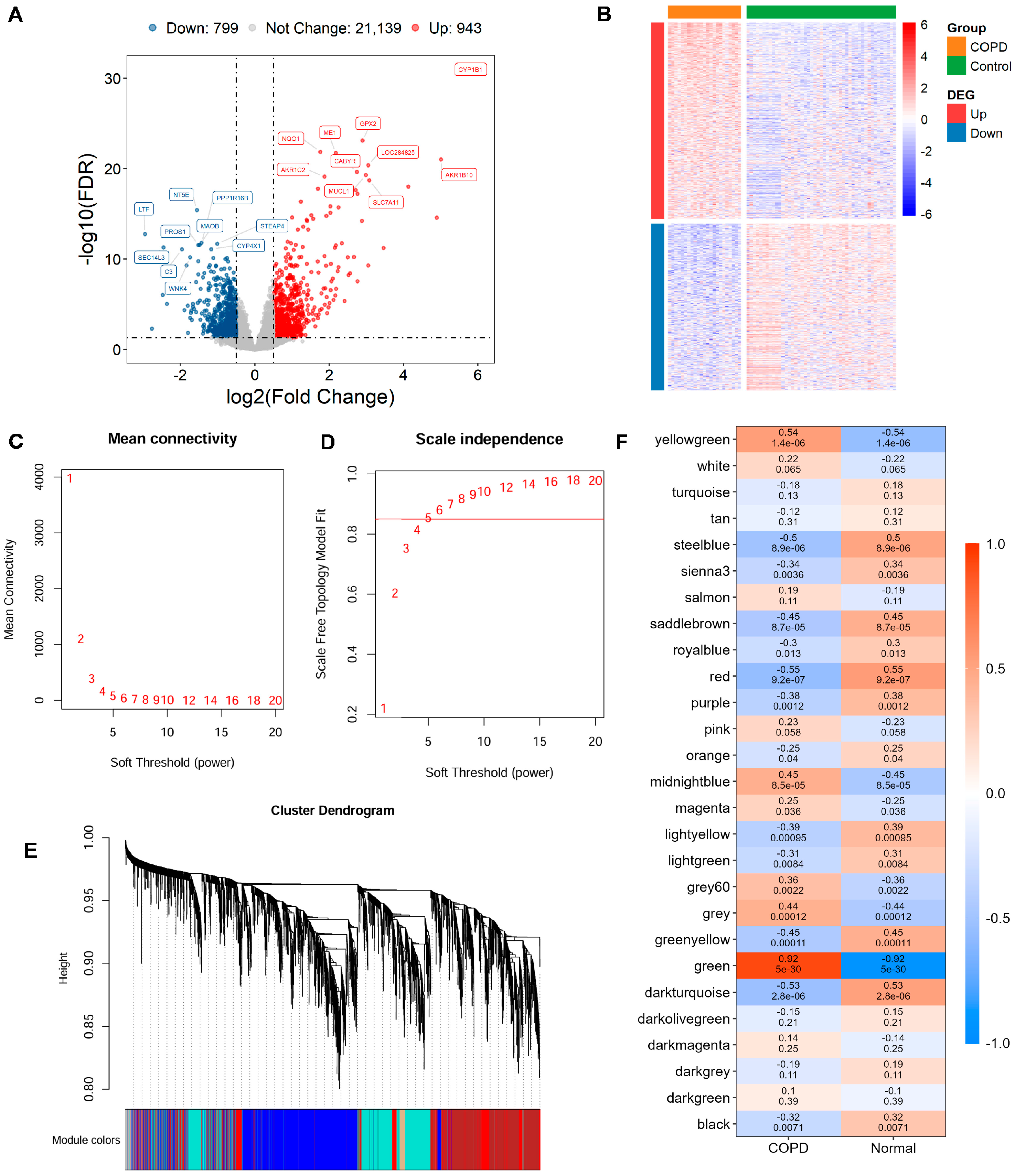 Biomedicines 13 02006 g001