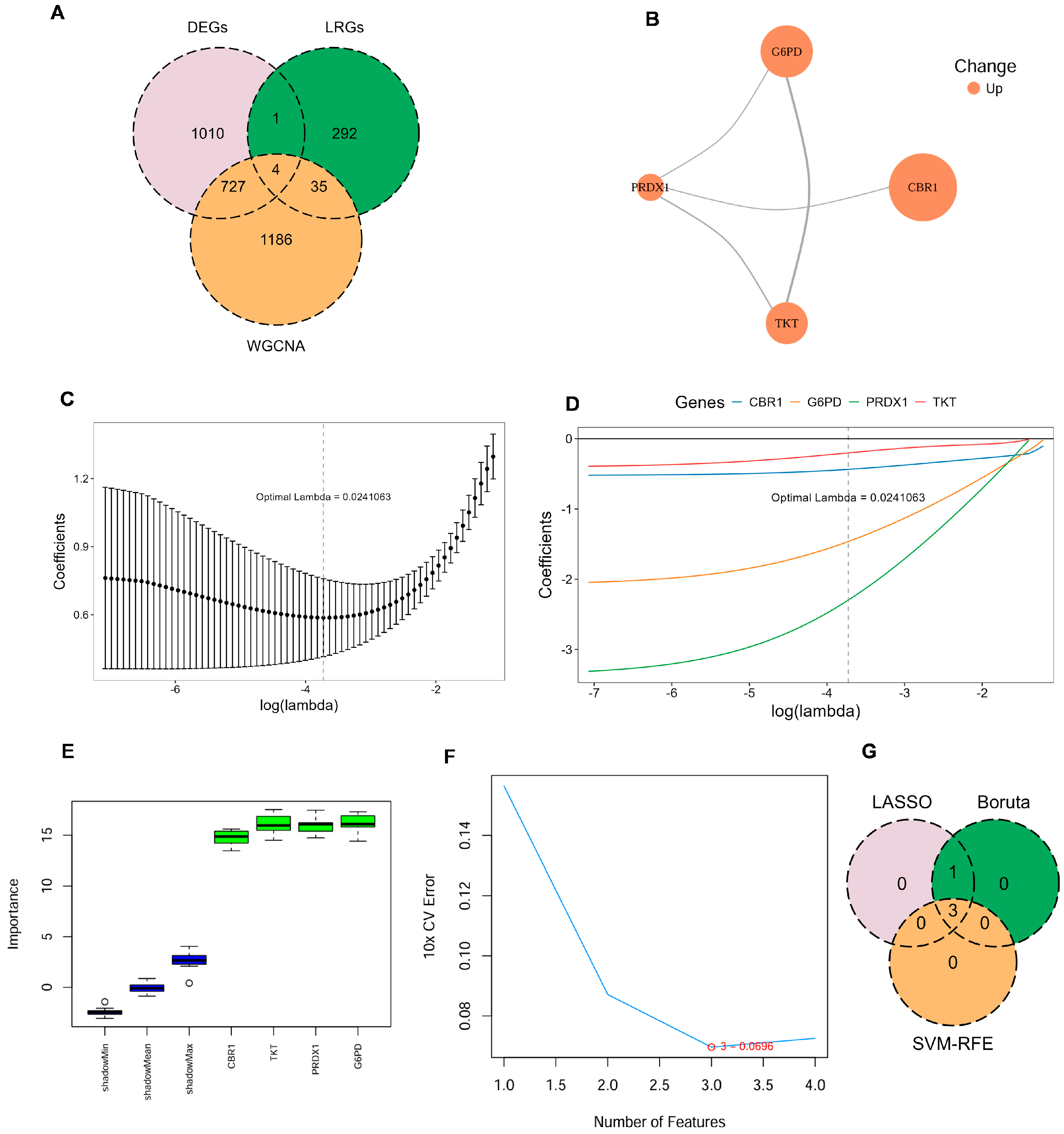Biomedicines 13 02006 g002