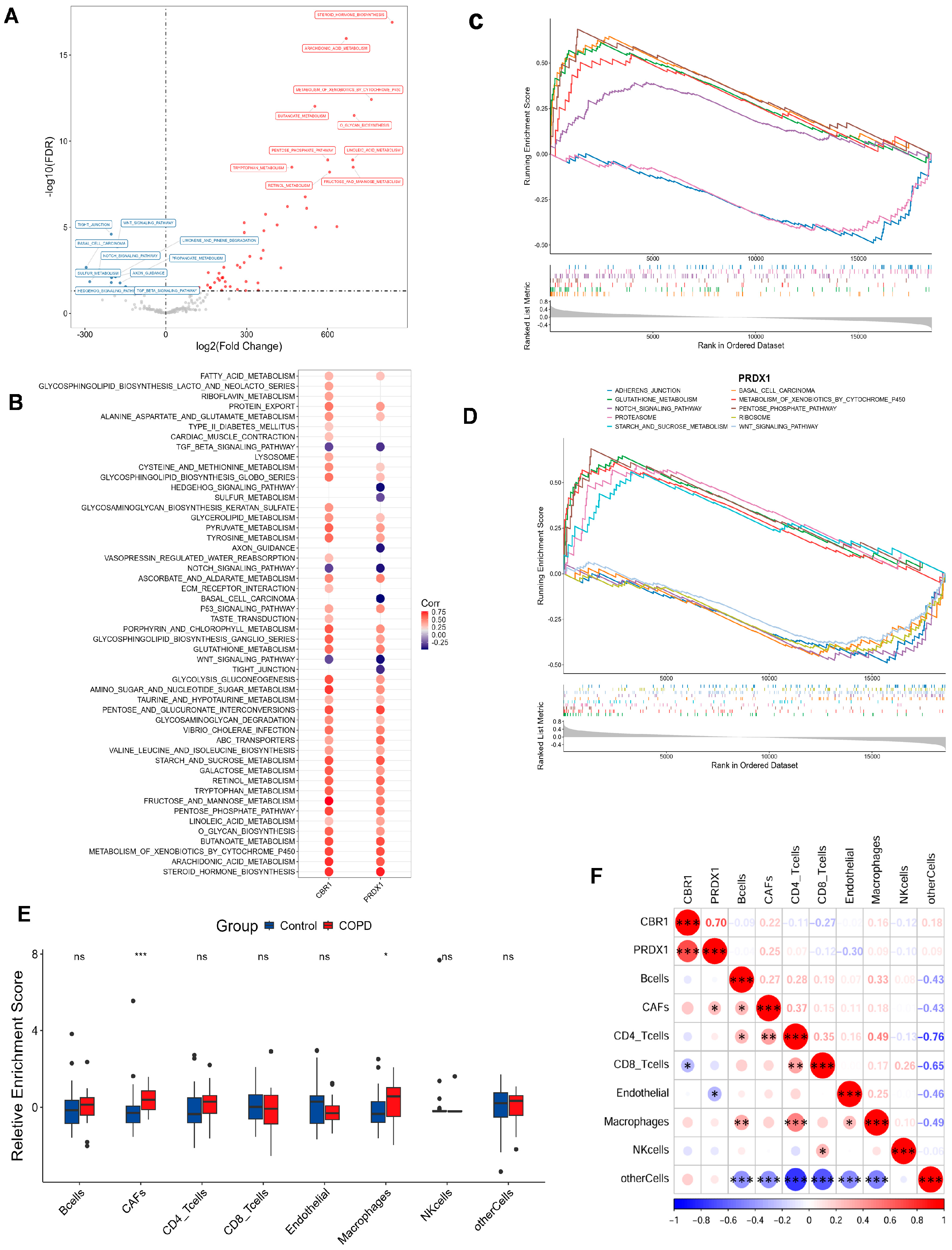 Biomedicines 13 02006 g004