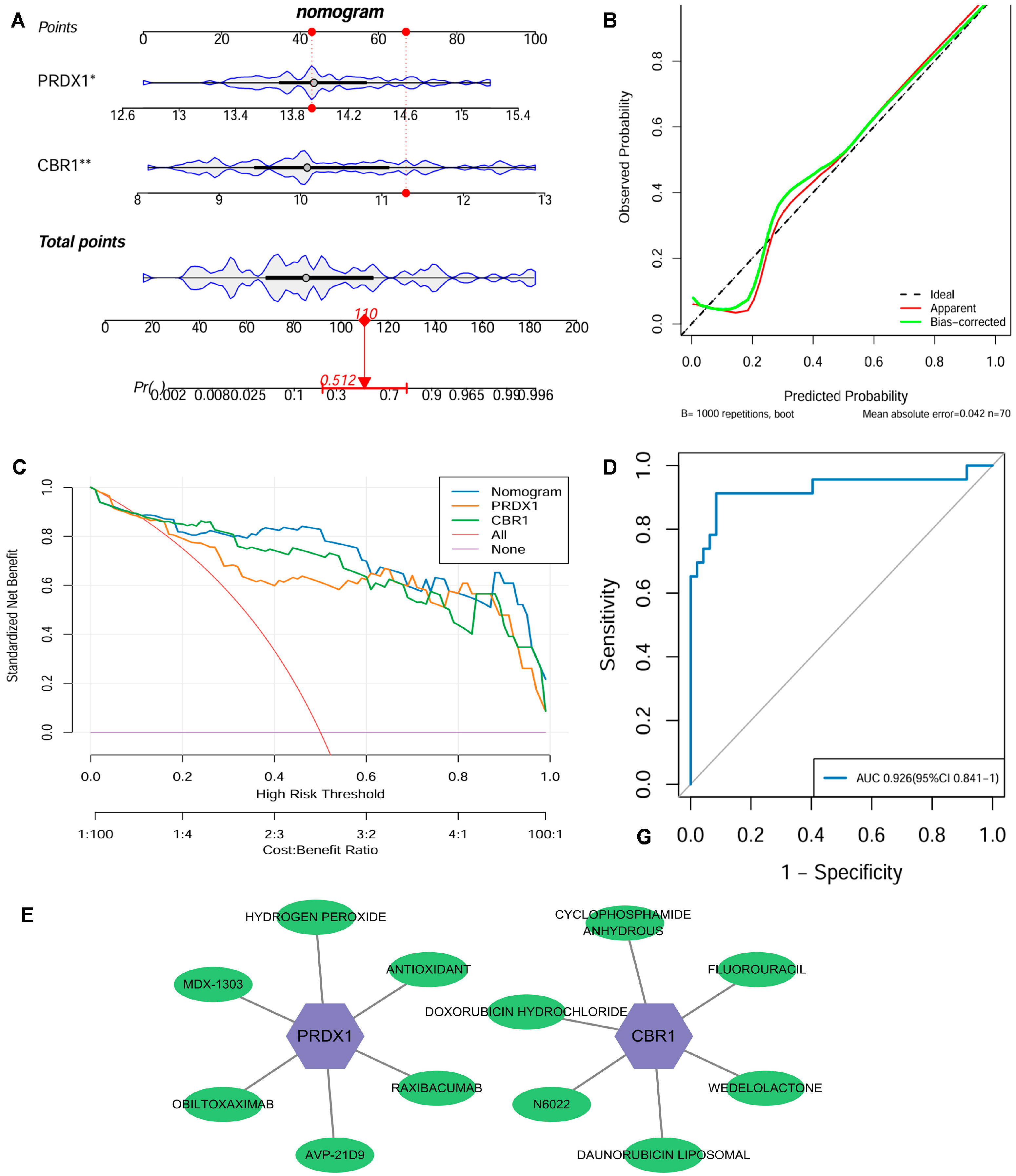 Biomedicines 13 02006 g005