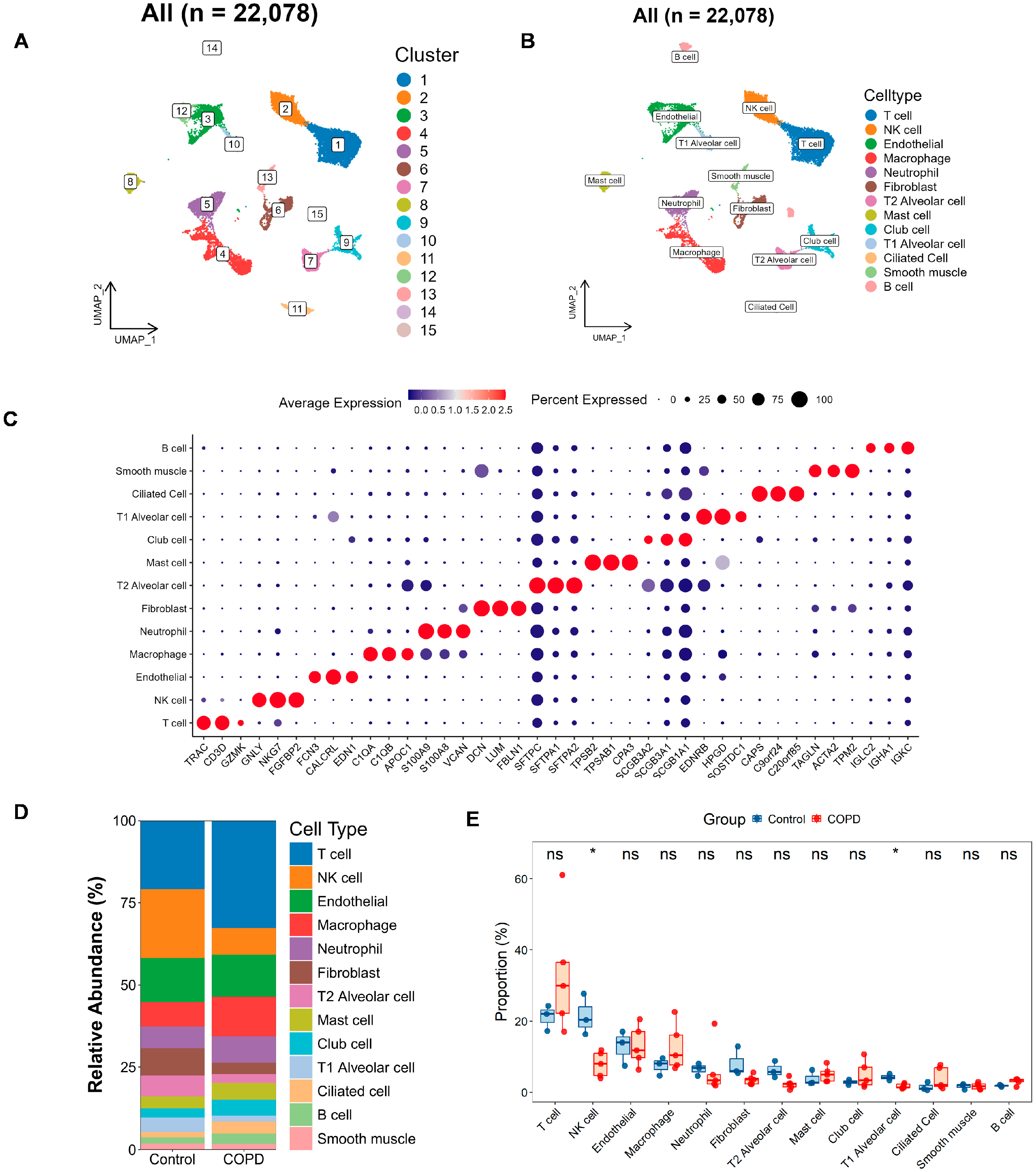 Biomedicines 13 02006 g006