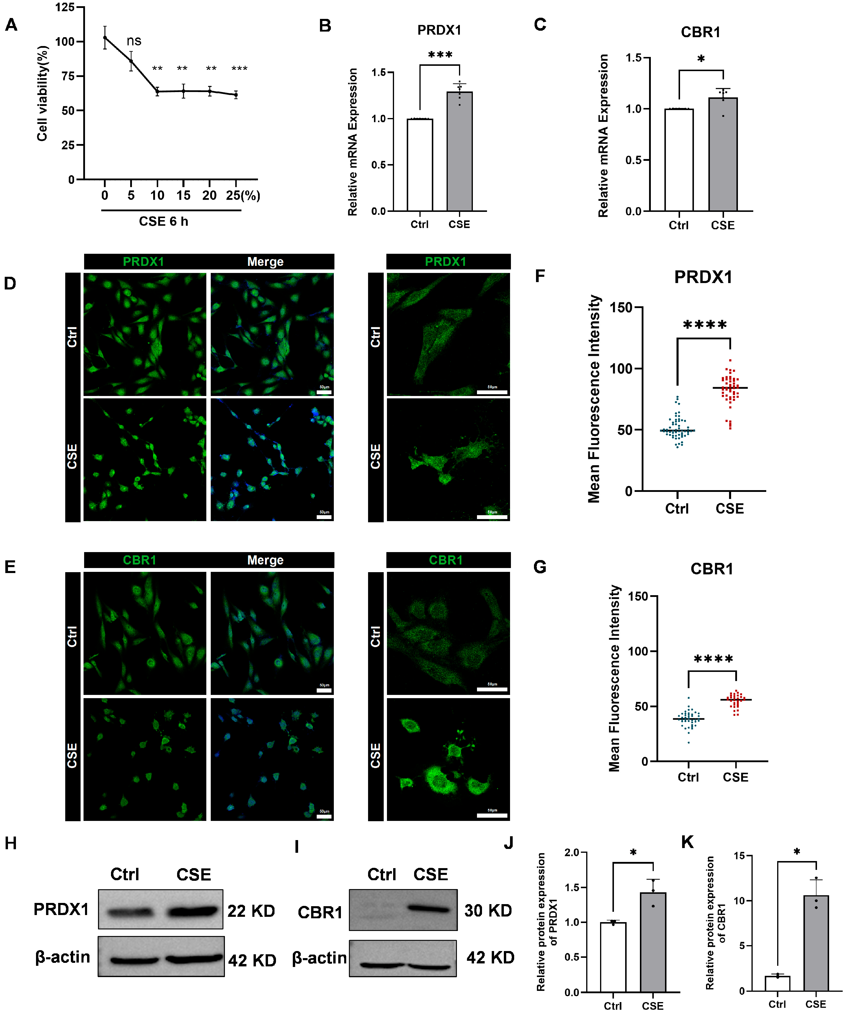 Biomedicines 13 02006 g008