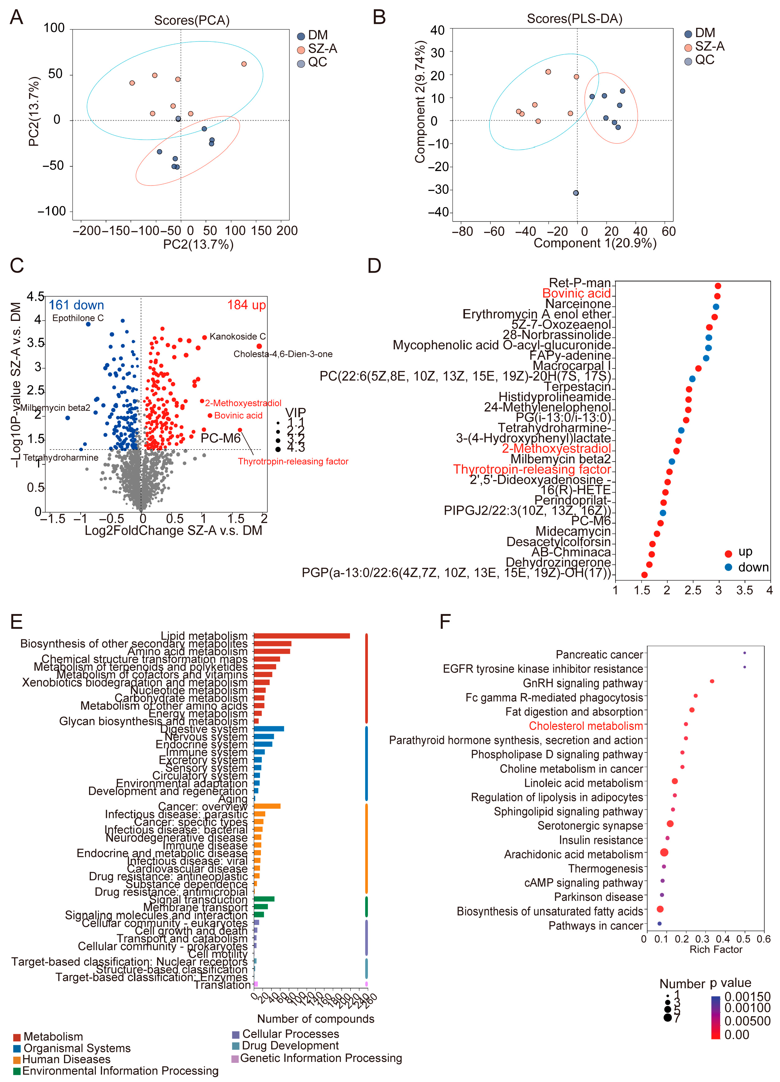 Biomedicines 13 02013 g003 Biomedicines 13 02013 g003