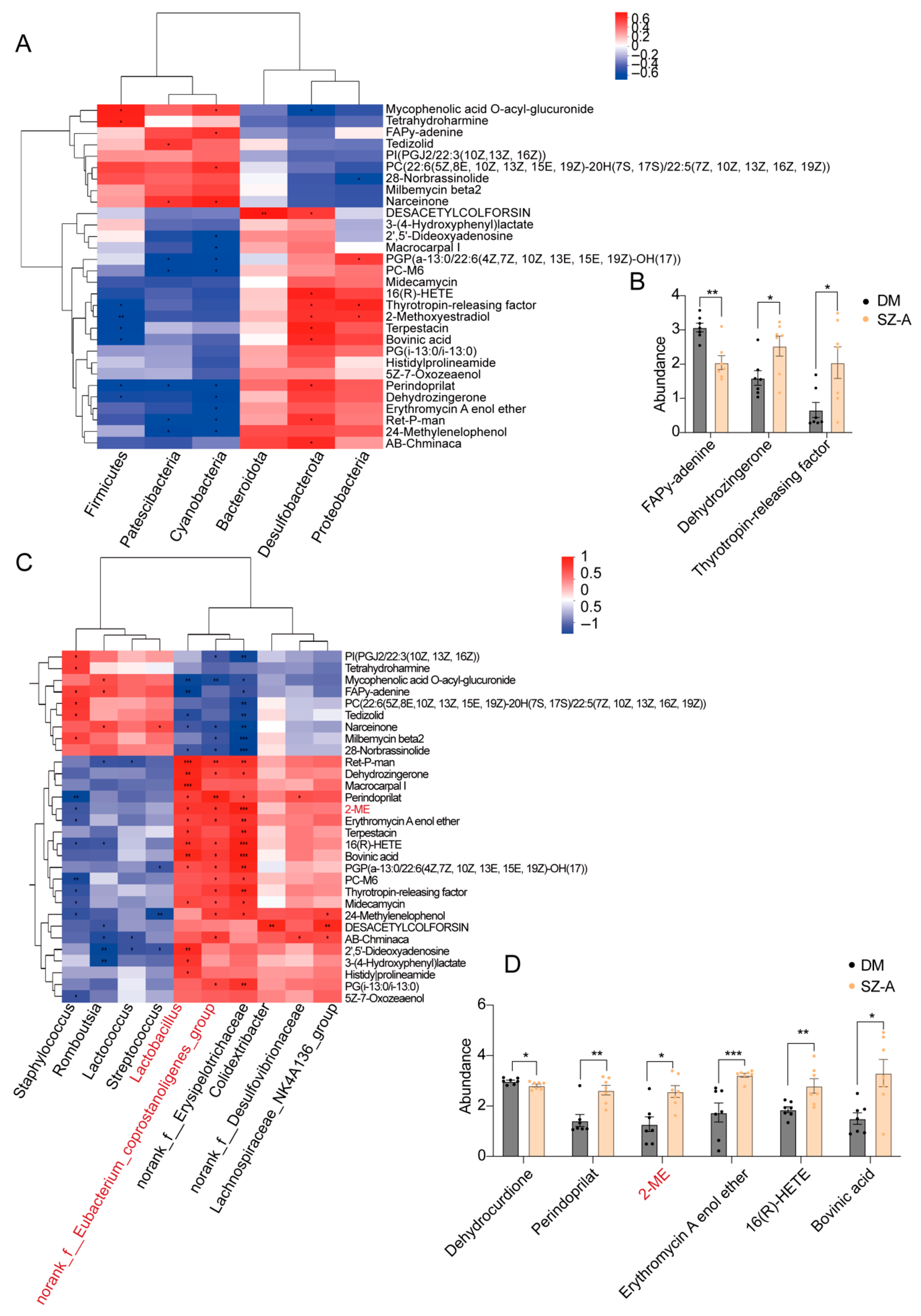 Biomedicines 13 02013 g004 Biomedicines 13 02013 g004