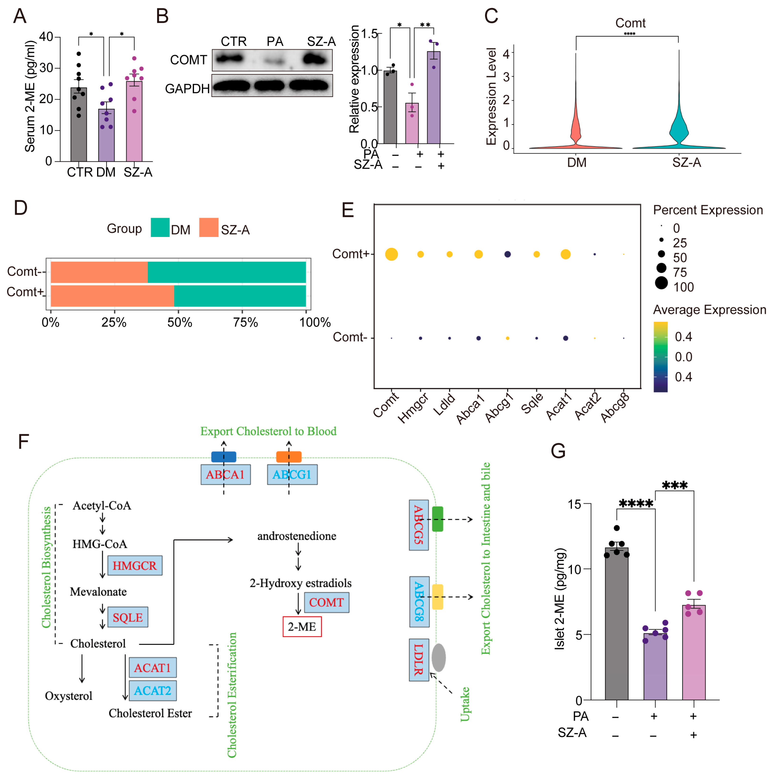 Biomedicines 13 02013 g005 Biomedicines 13 02013 g005
