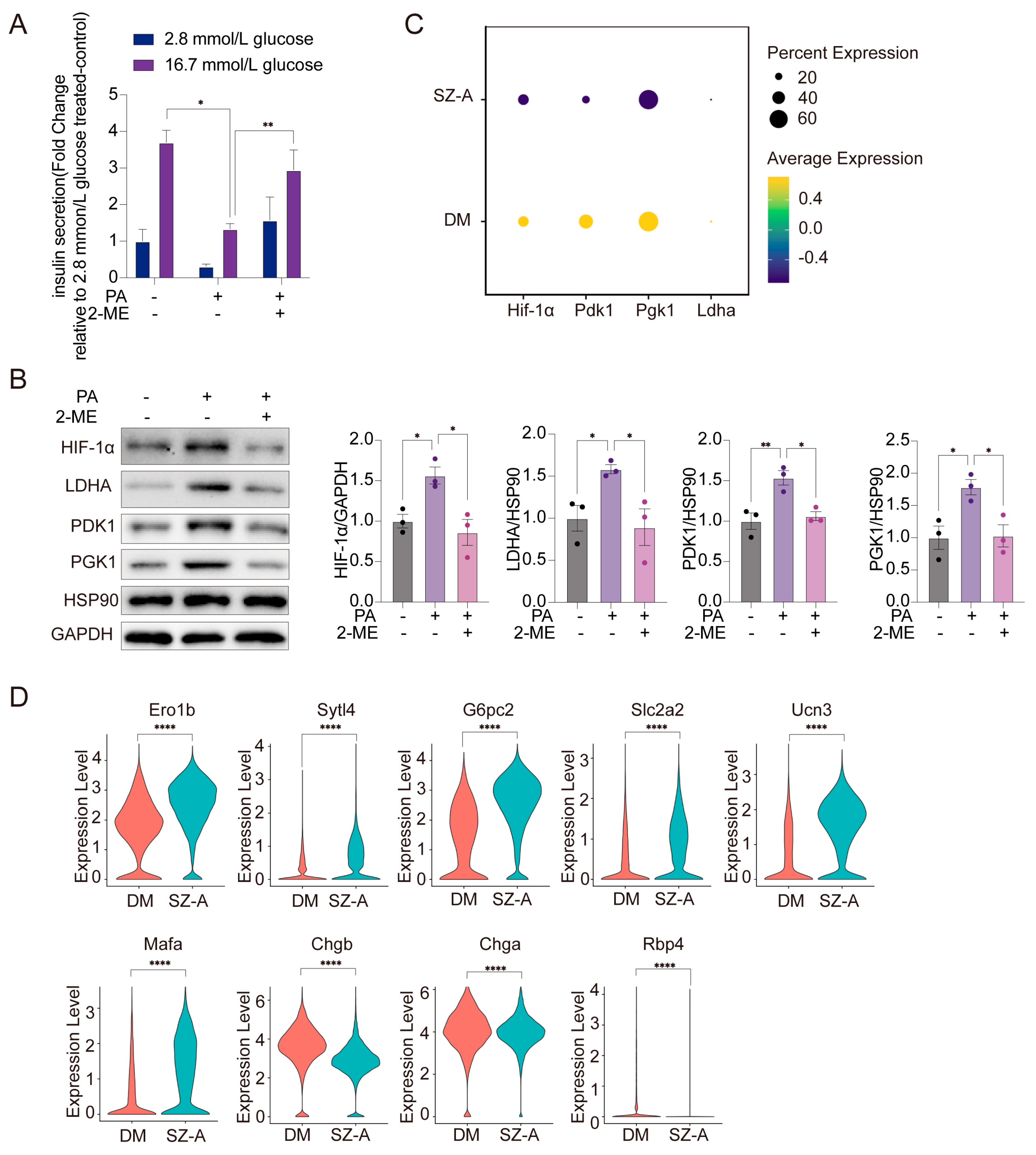 Biomedicines 13 02013 g006 Biomedicines 13 02013 g006