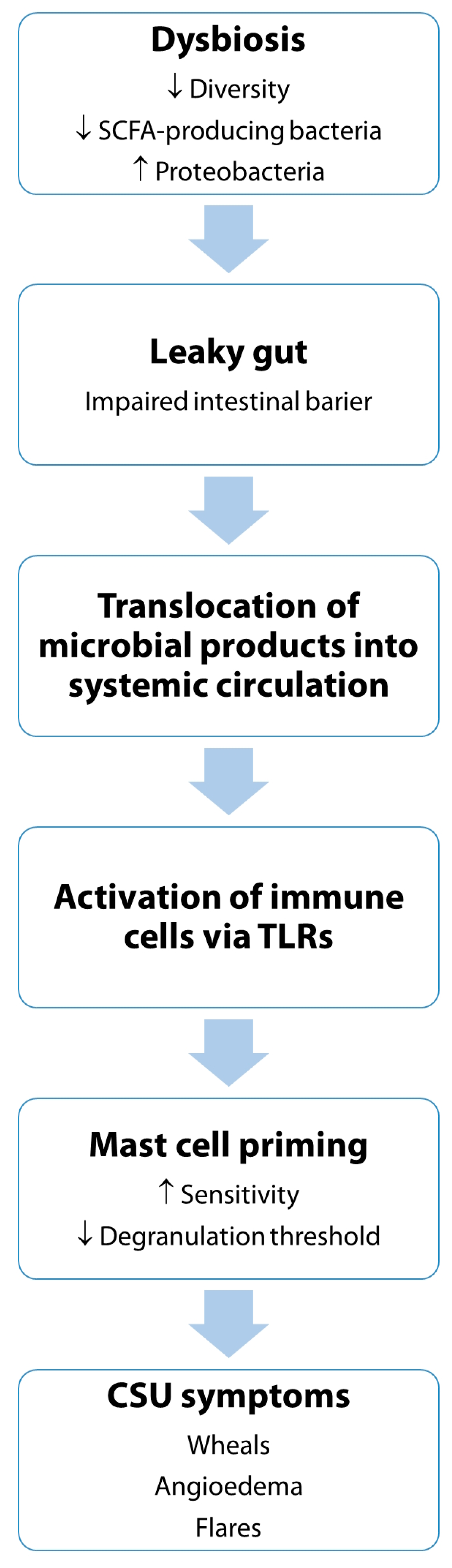 Biomedicines 13 02014 g001