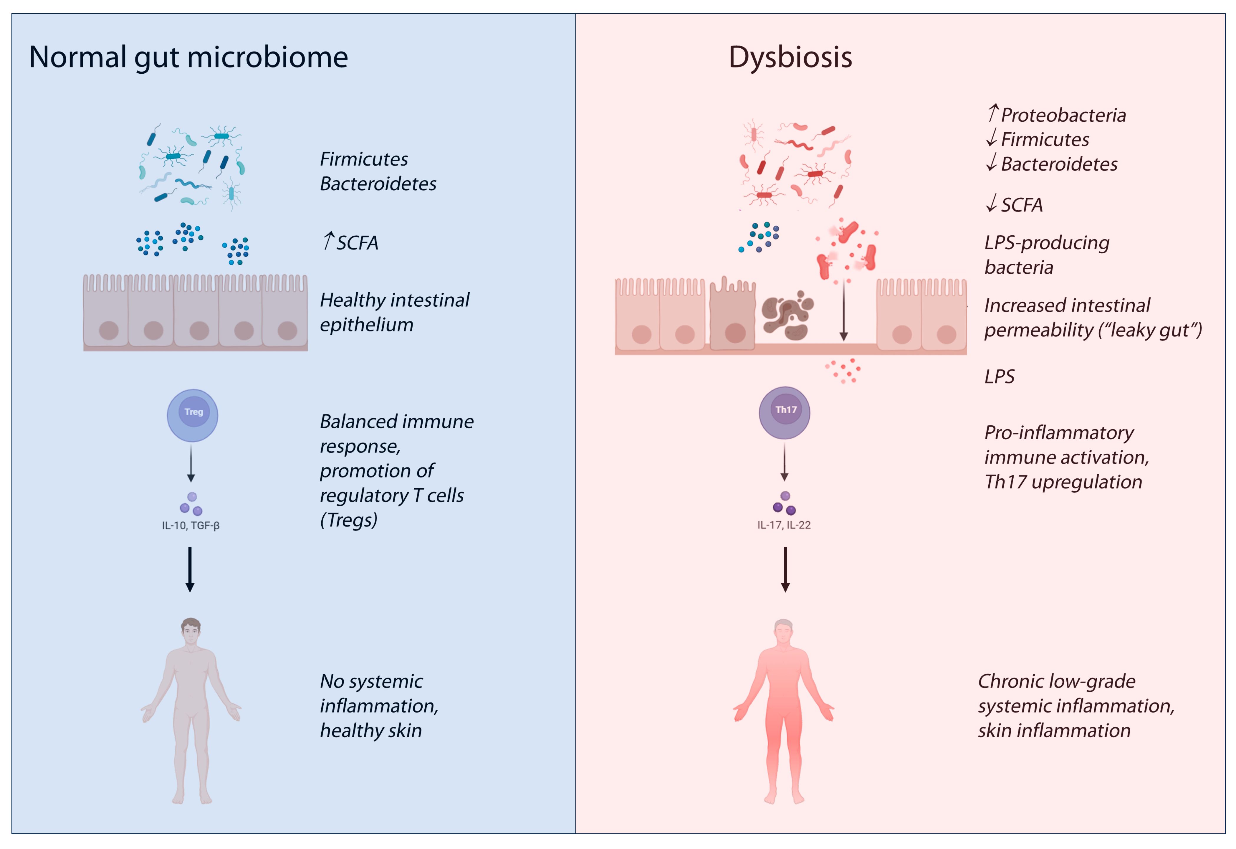 Biomedicines 13 02014 g002