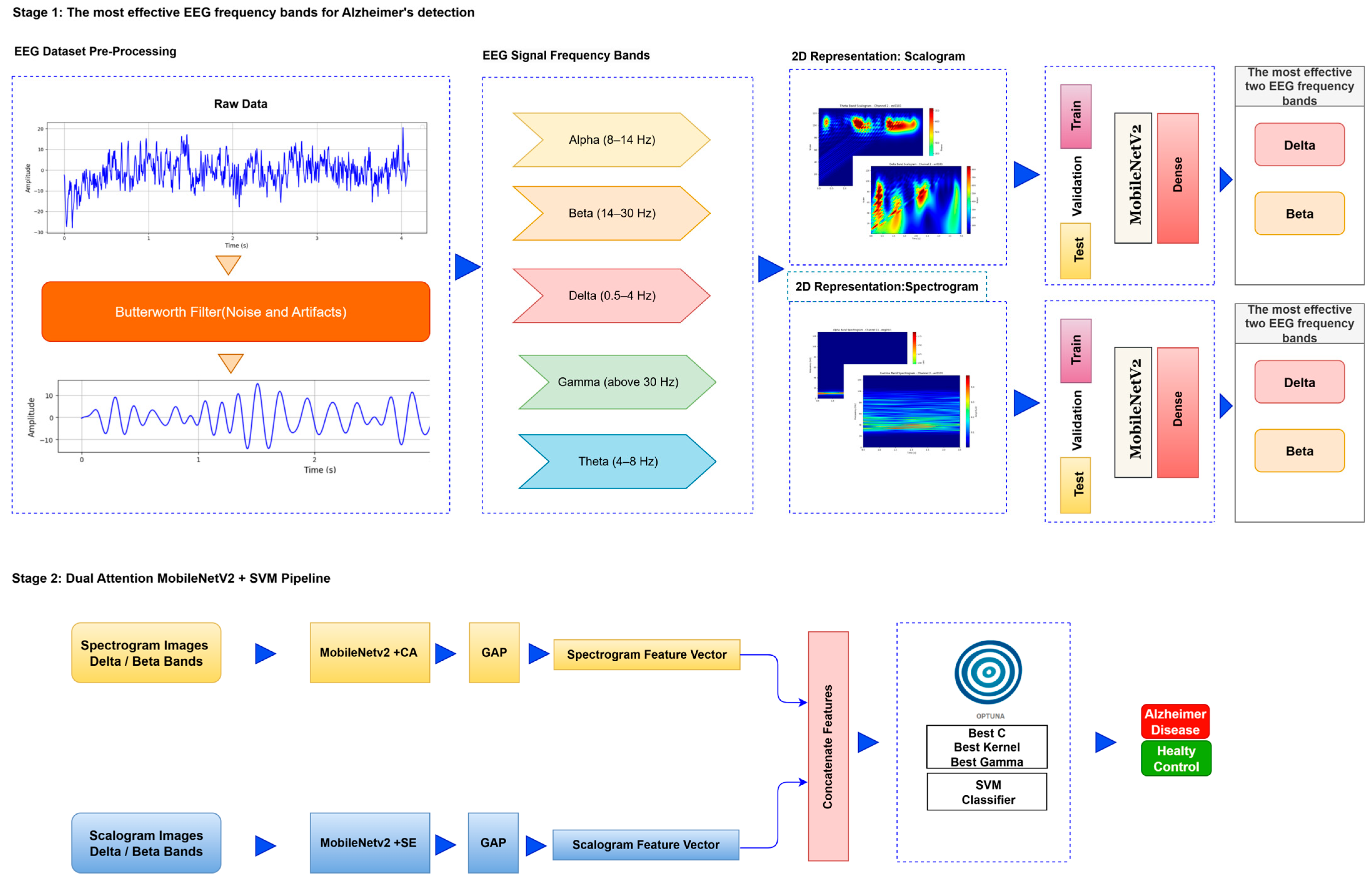 Biomedicines 13 02017 g001