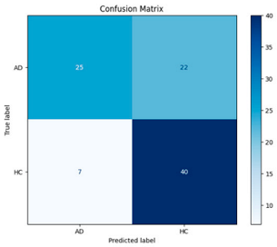 Biomedicines 13 02017 i012