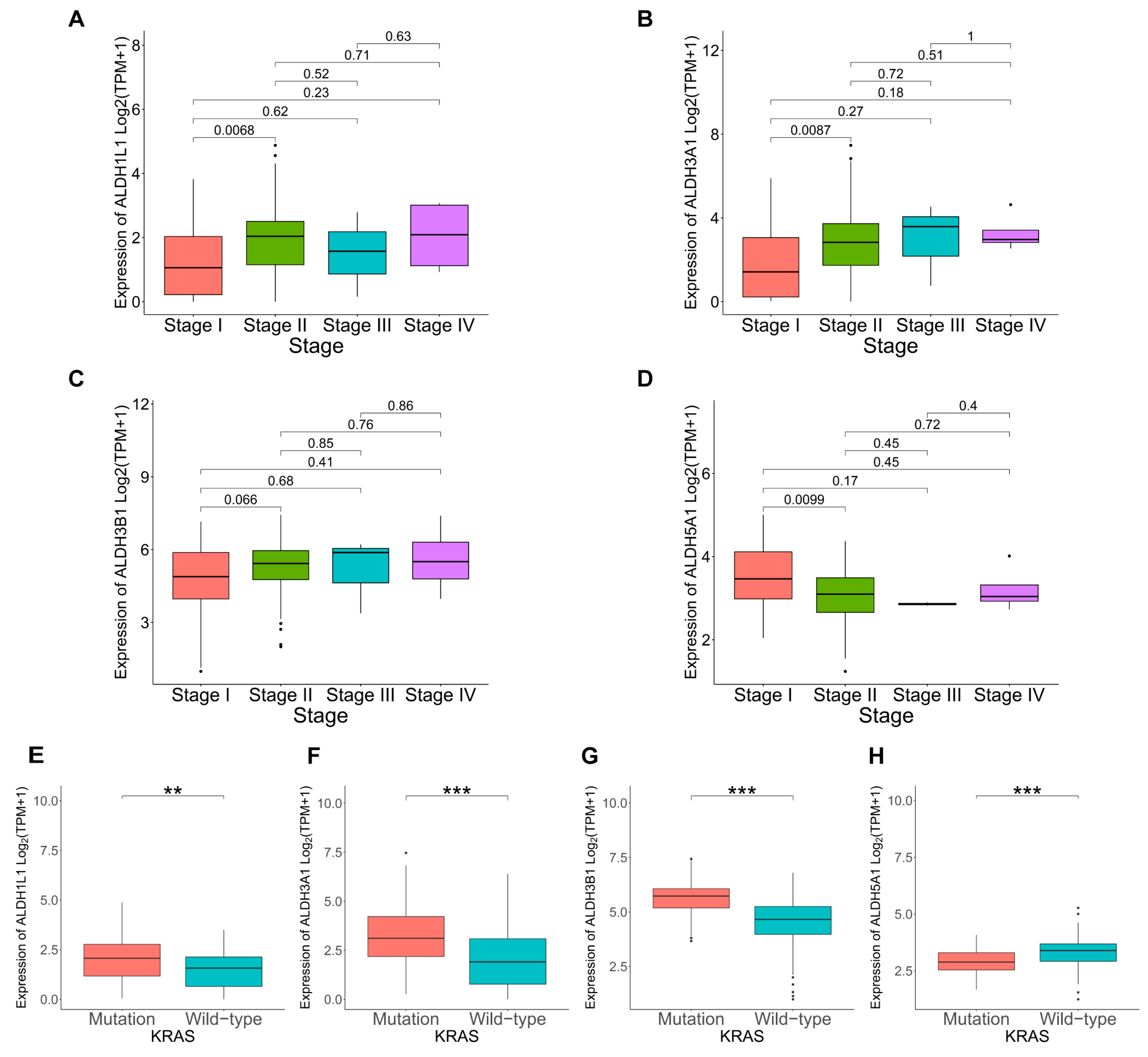 Biomedicines 13 02018 g004 Biomedicines 13 02018 g004