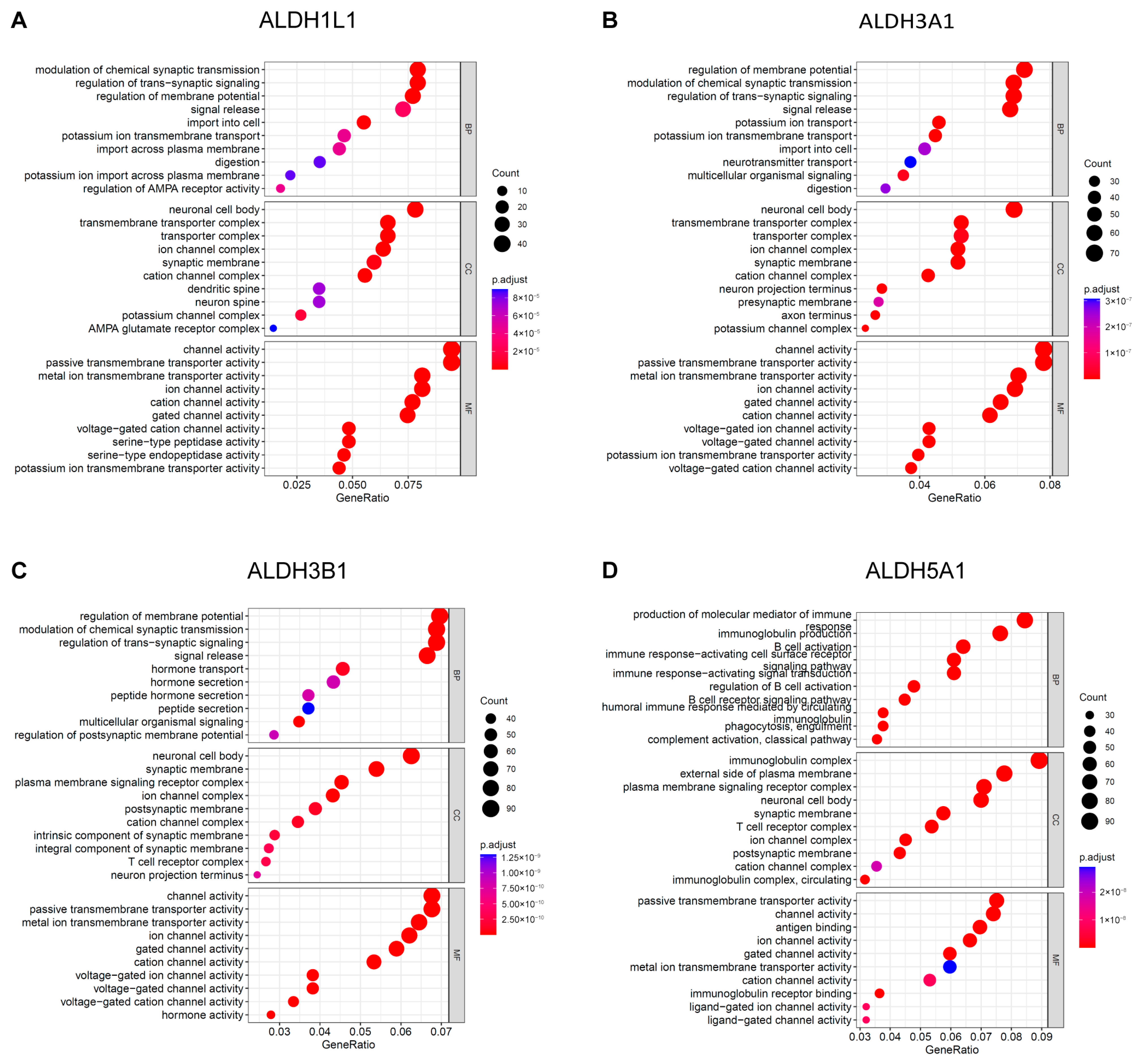 Biomedicines 13 02018 g005 Biomedicines 13 02018 g005