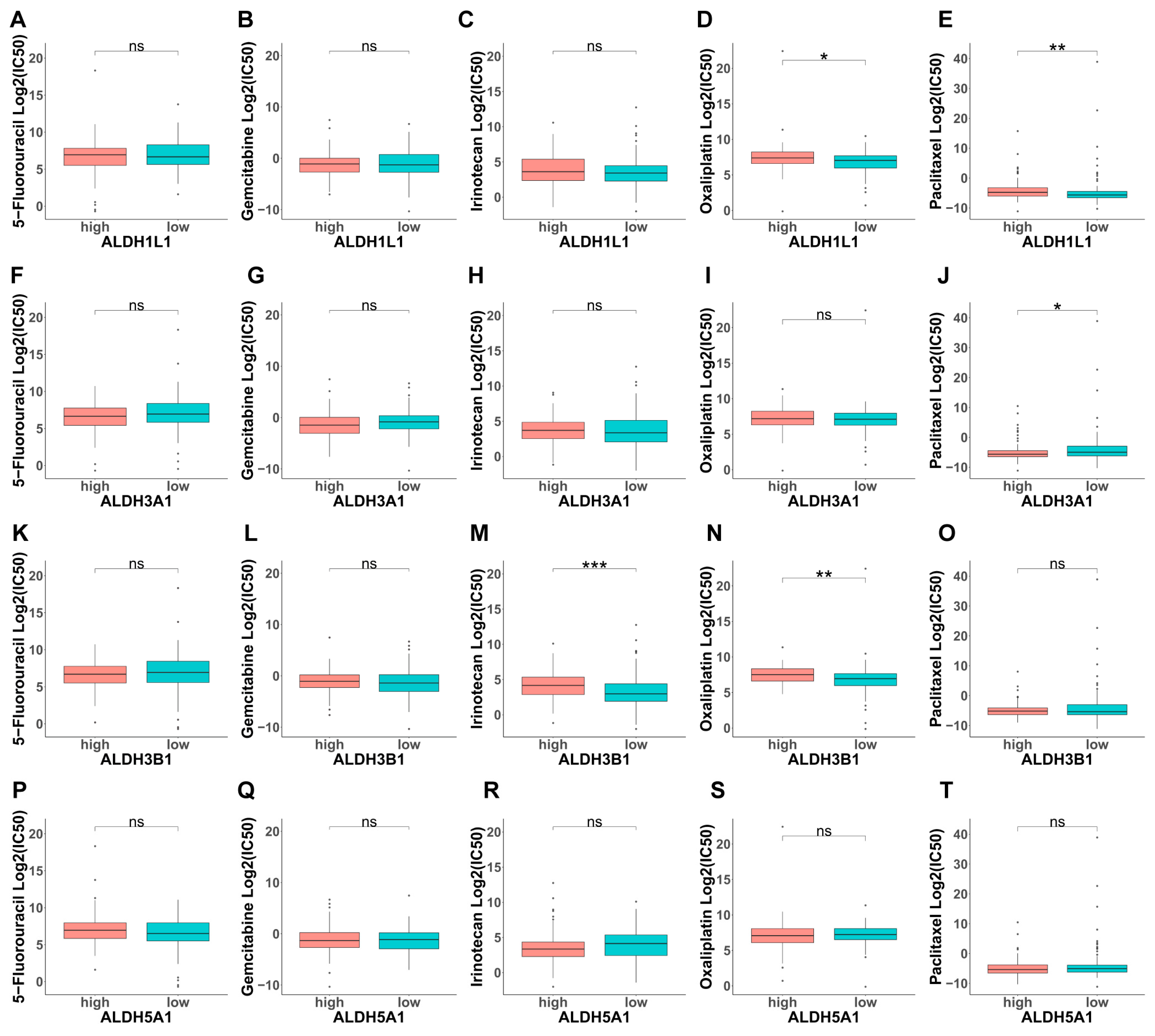 Biomedicines 13 02018 g007 Biomedicines 13 02018 g007