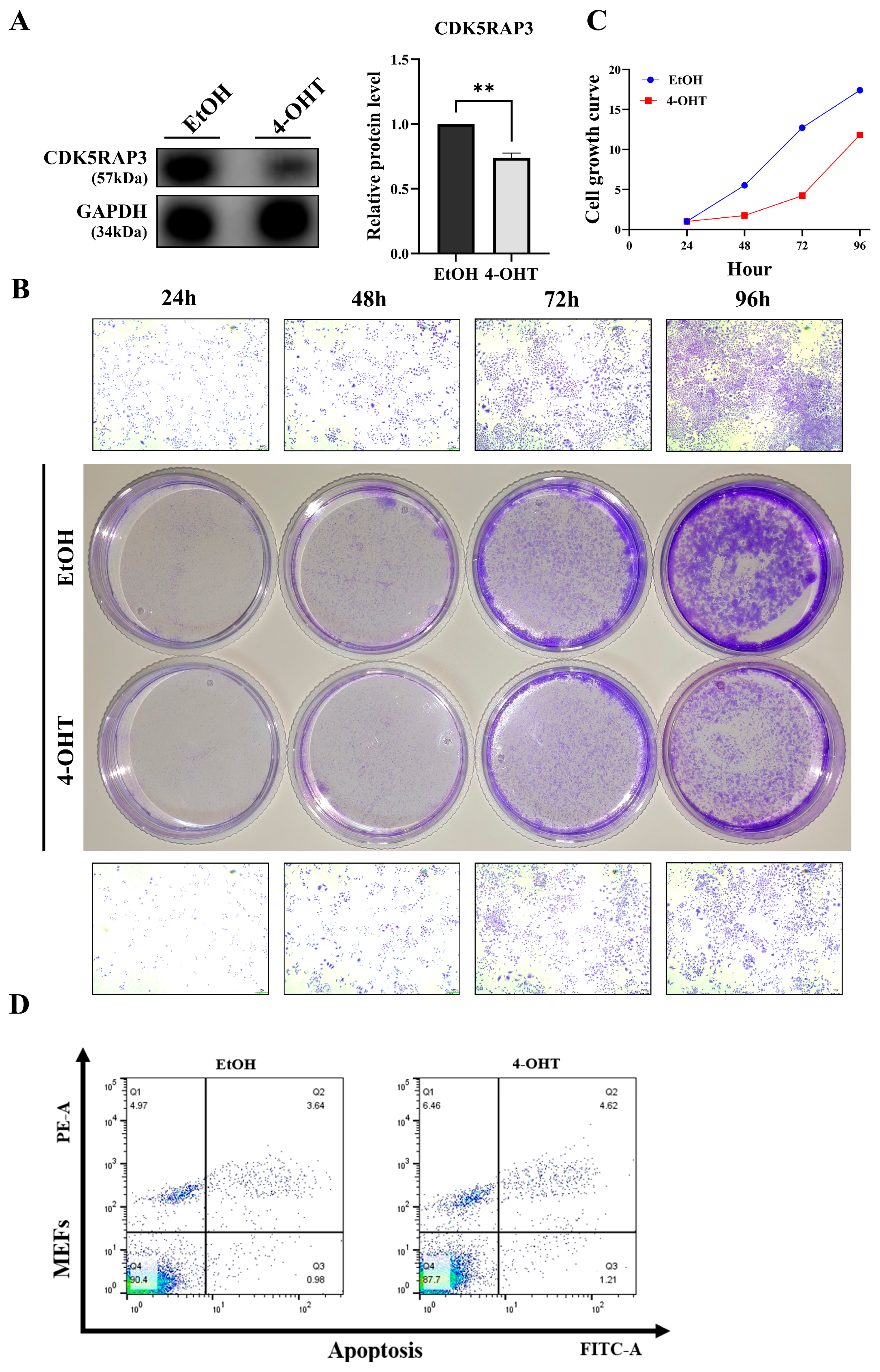 Biomedicines 13 02030 g004