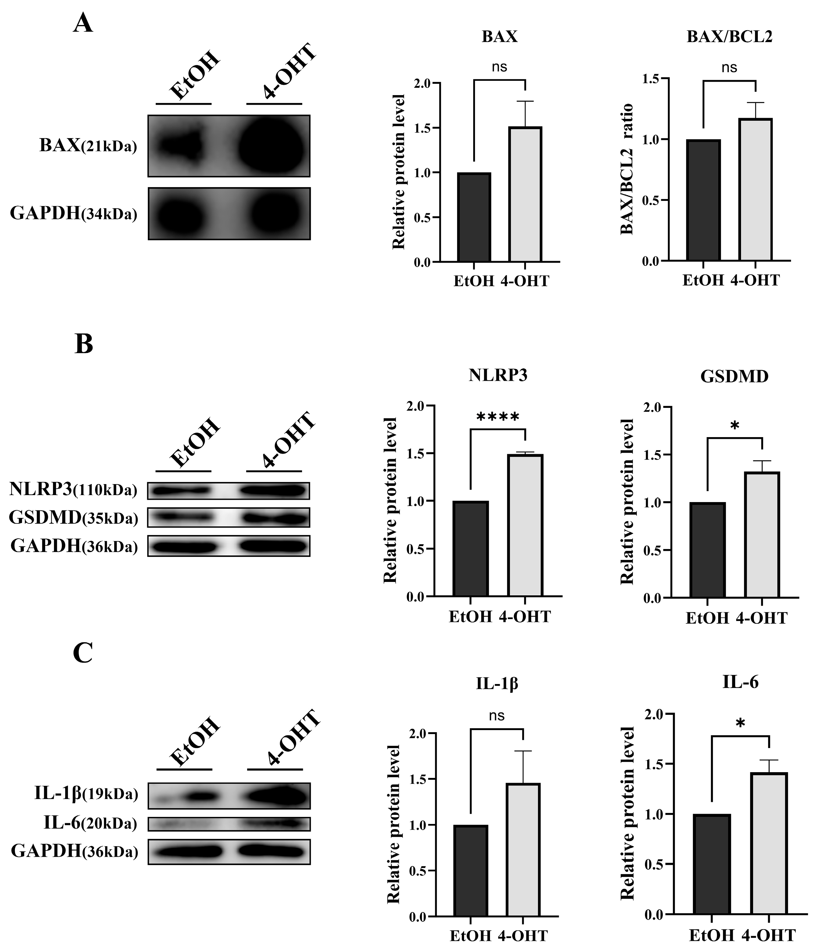 Biomedicines 13 02030 g005