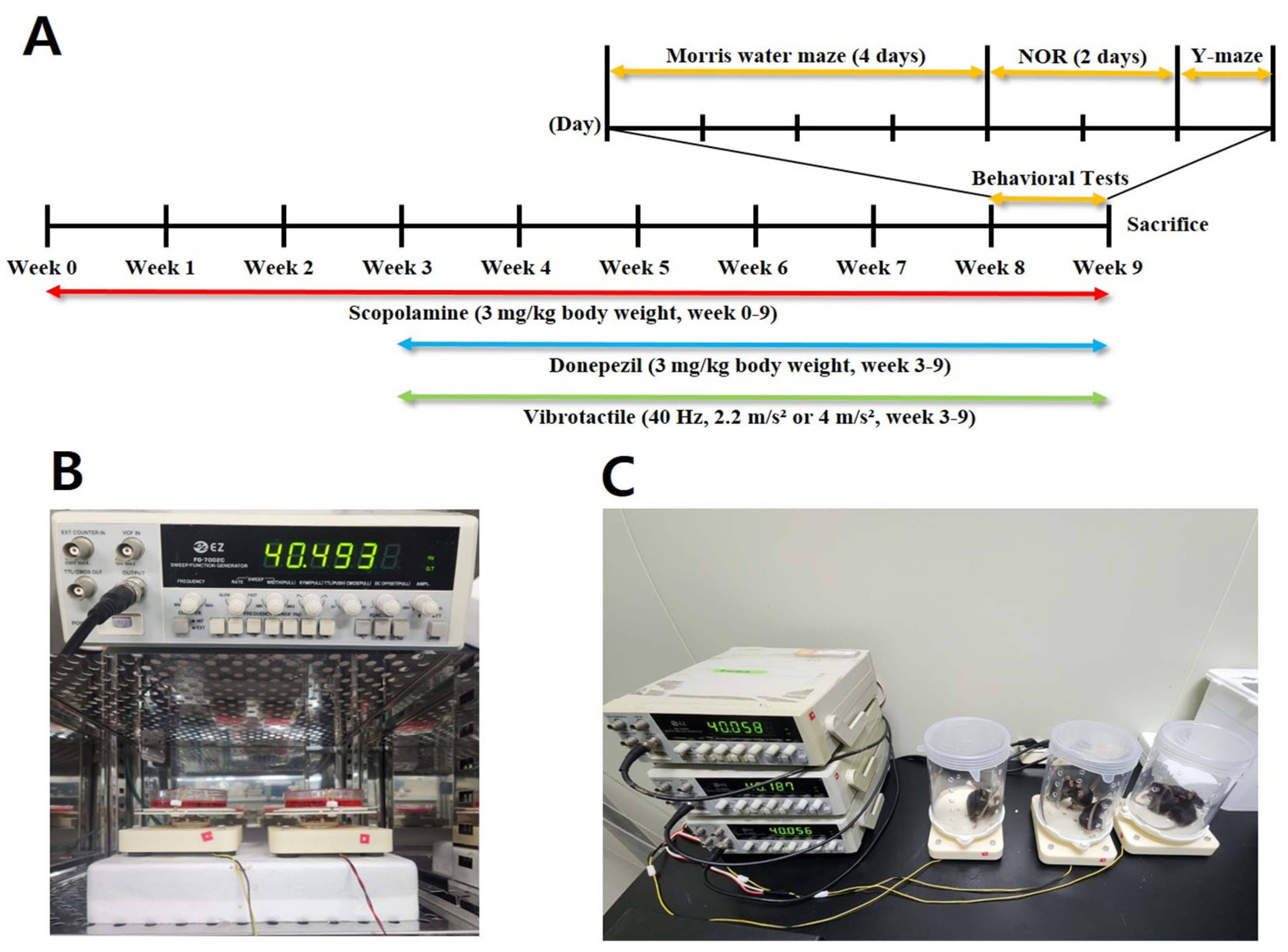 Biomedicines 13 02031 g001 Biomedicines 13 02031 g001
