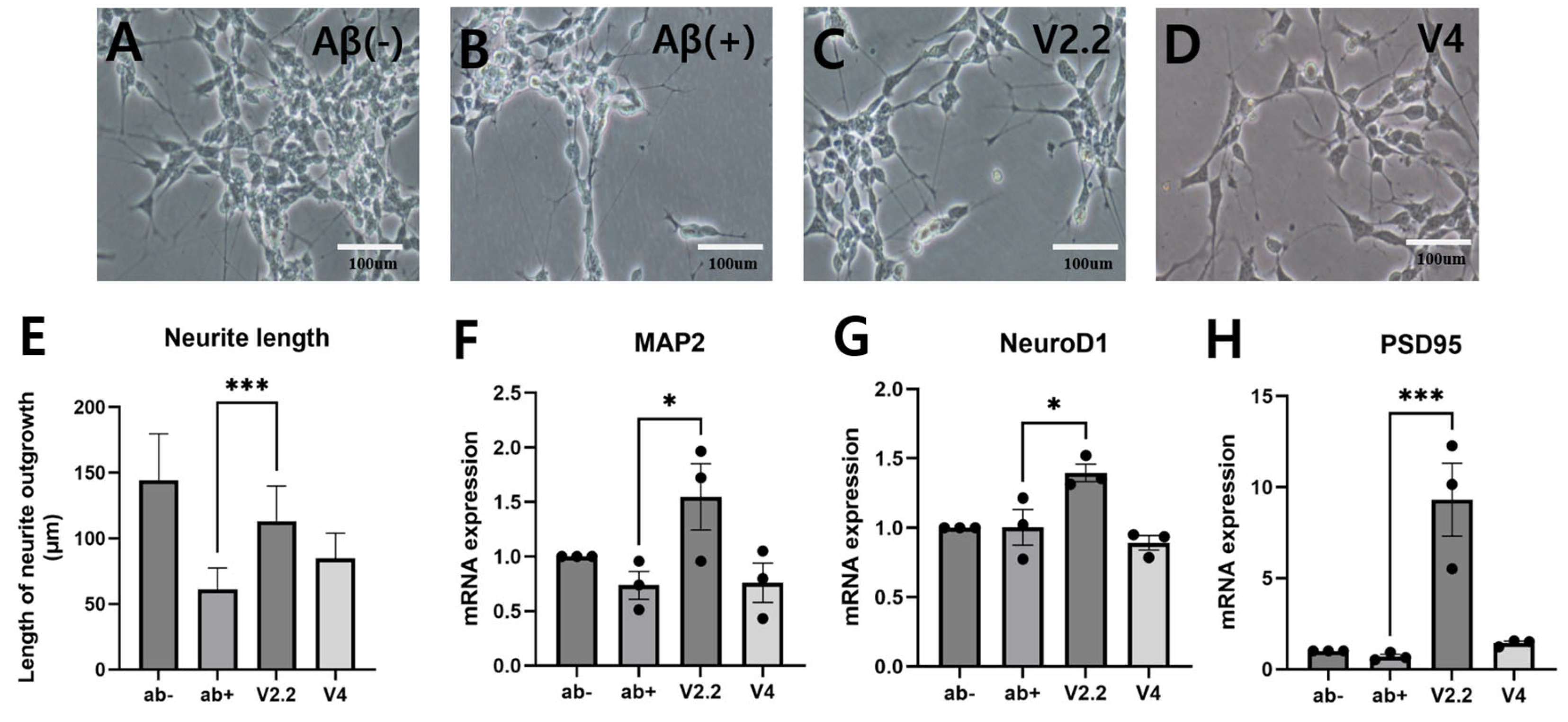 Biomedicines 13 02031 g002 Biomedicines 13 02031 g002