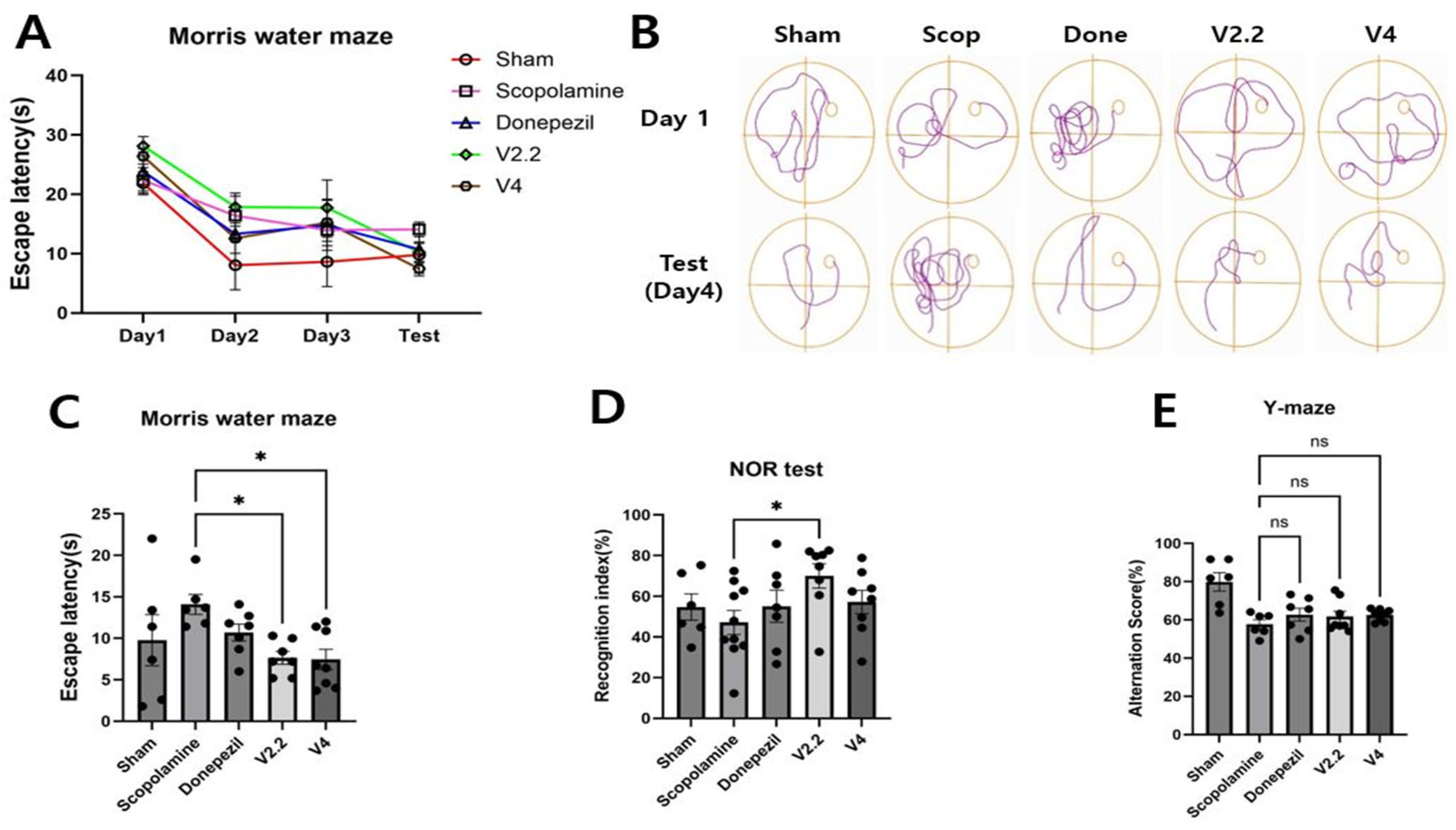 Biomedicines 13 02031 g003 Biomedicines 13 02031 g003