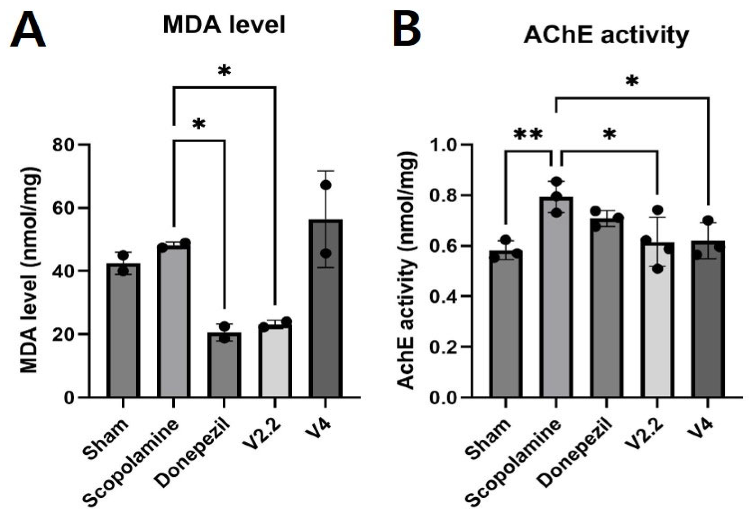 Biomedicines 13 02031 g004 Biomedicines 13 02031 g004