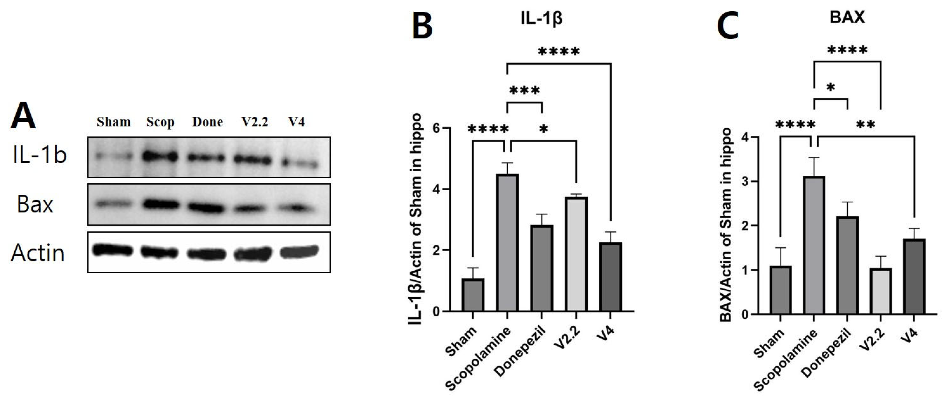 Biomedicines 13 02031 g008 Biomedicines 13 02031 g008