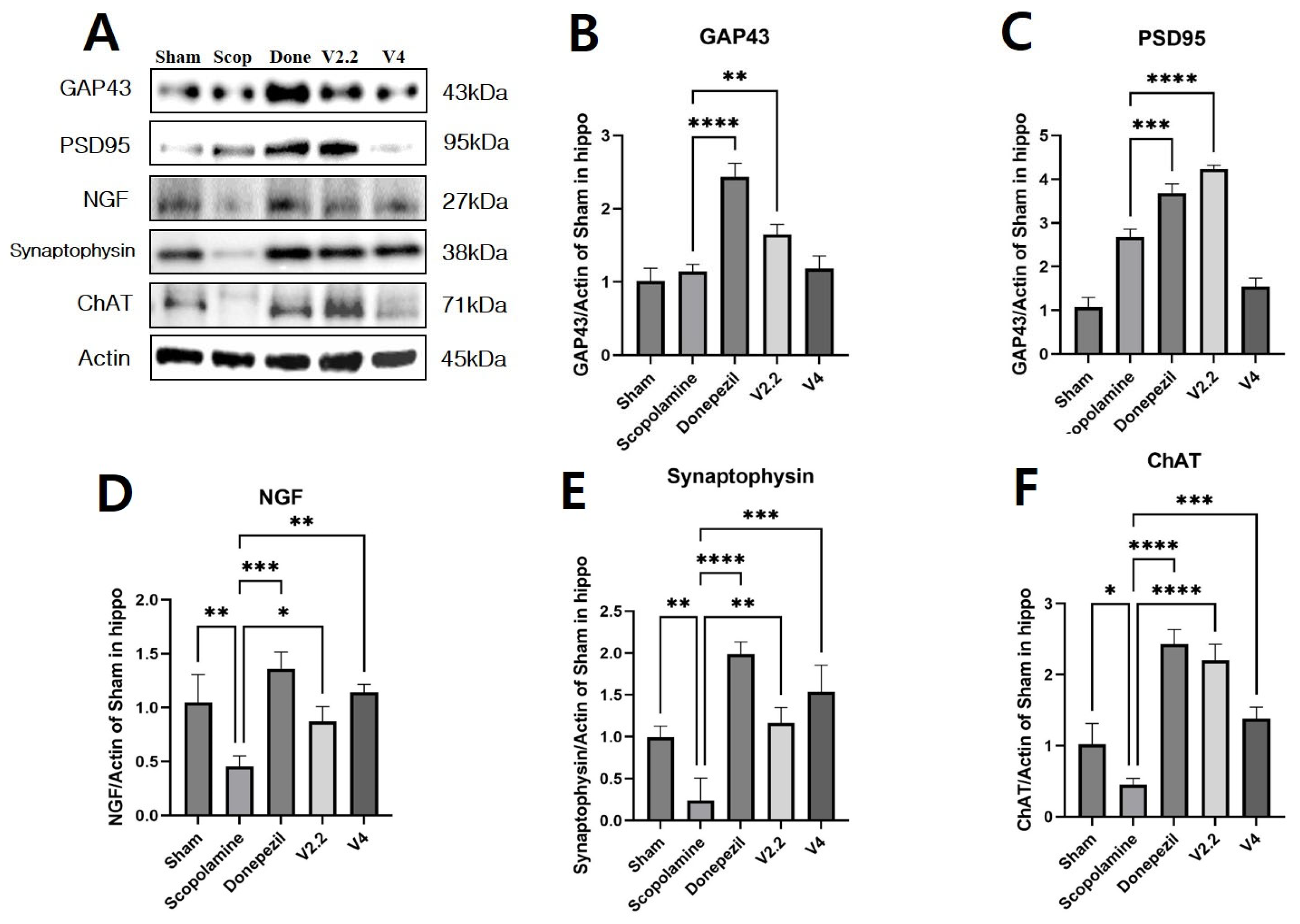 Biomedicines 13 02031 g009 Biomedicines 13 02031 g009