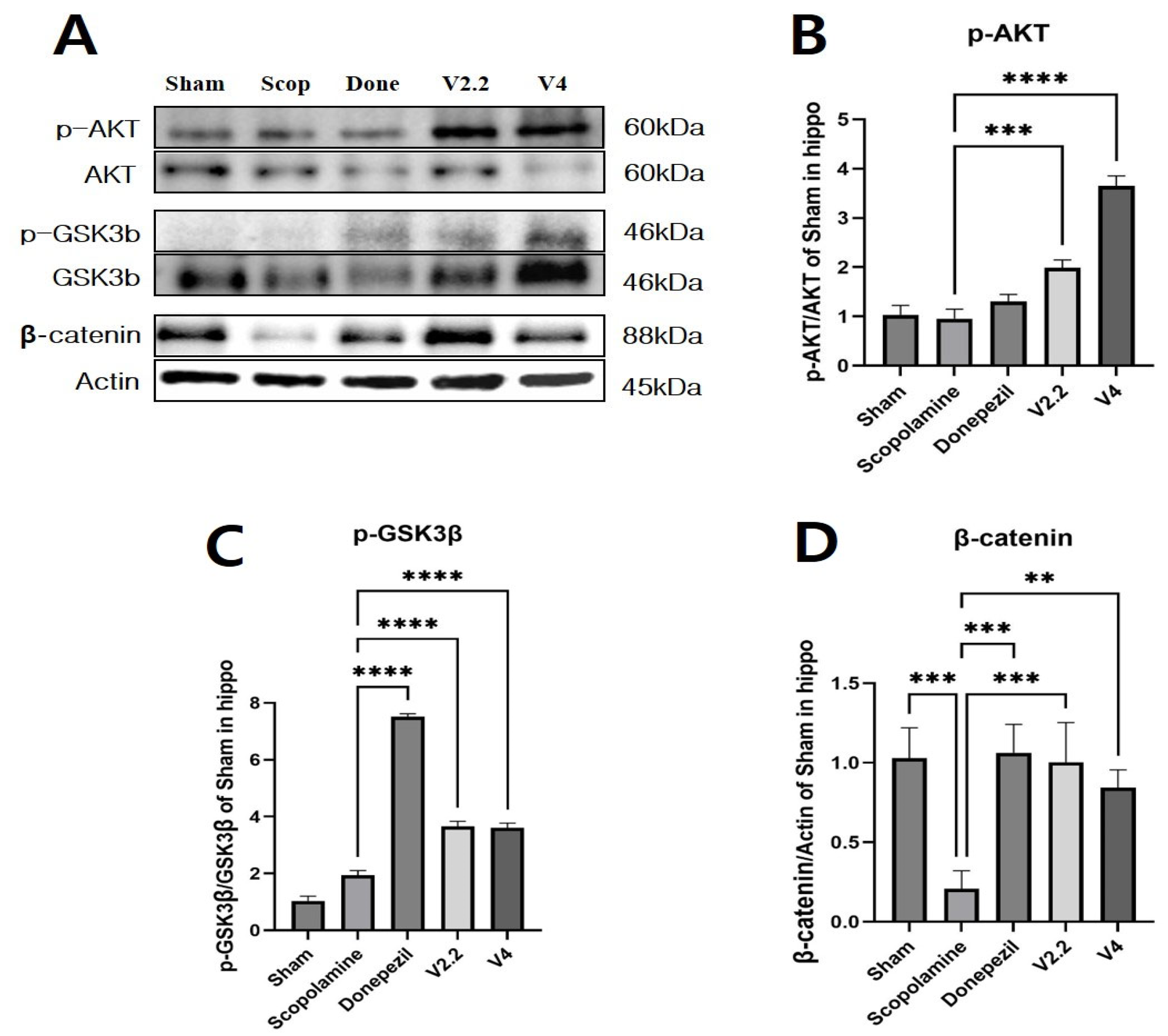 Biomedicines 13 02031 g010 Biomedicines 13 02031 g010