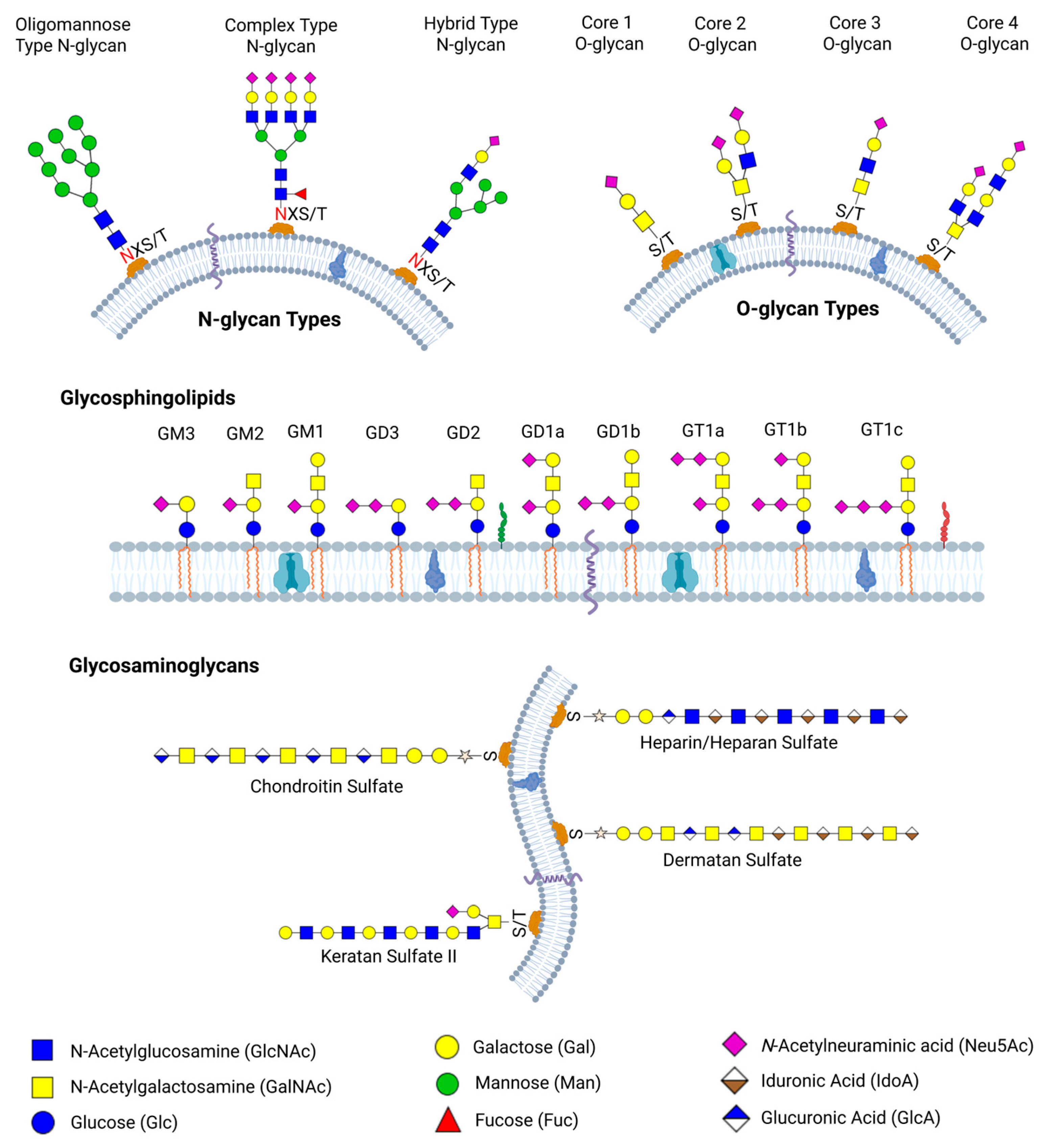 Biomedicines 13 02034 g001 Biomedicines 13 02034 g001