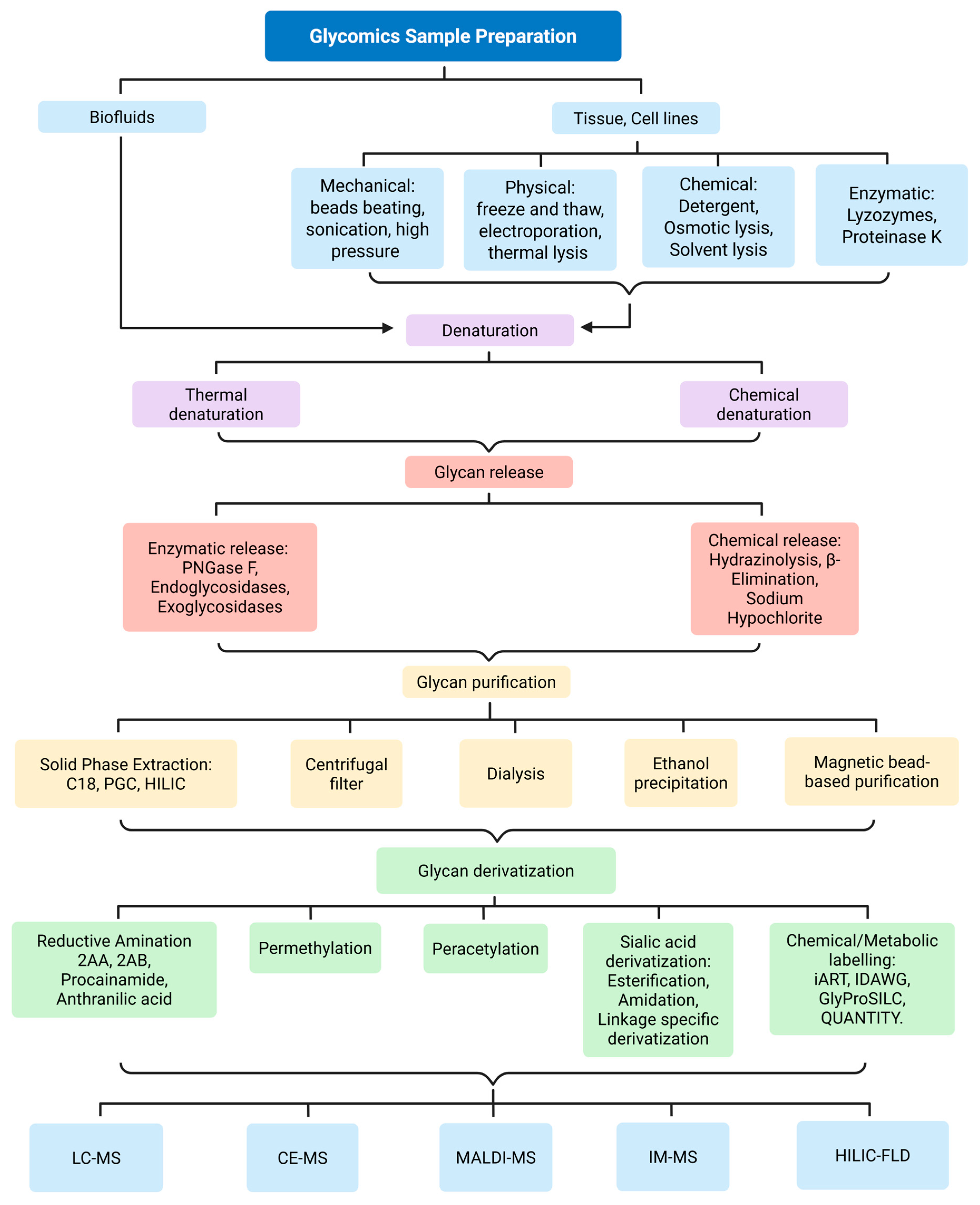 Biomedicines 13 02034 g004 Biomedicines 13 02034 g004