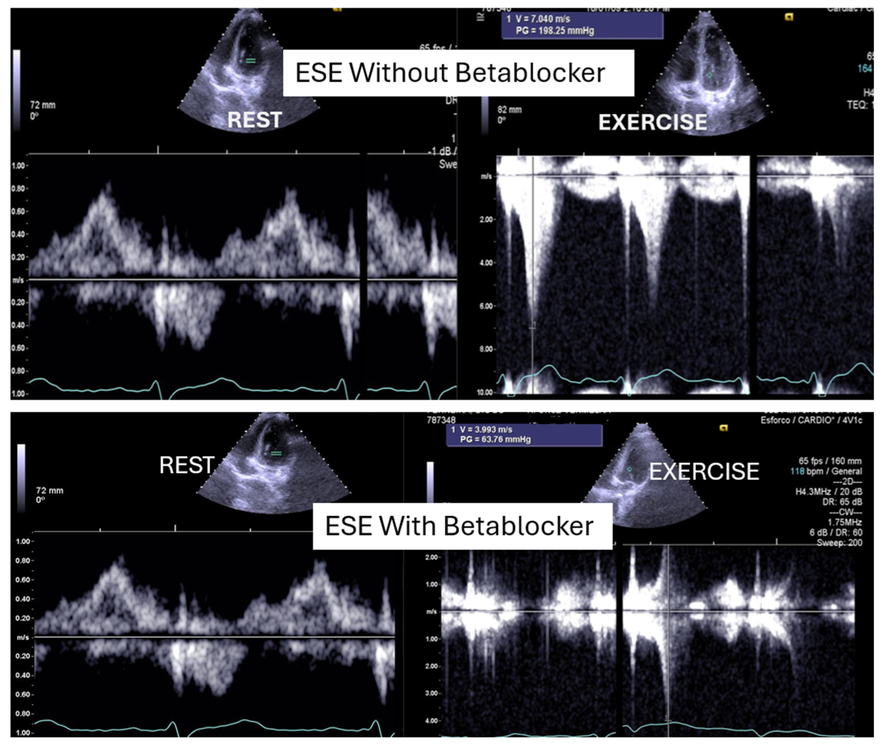 Biomedicines 13 02035 g001