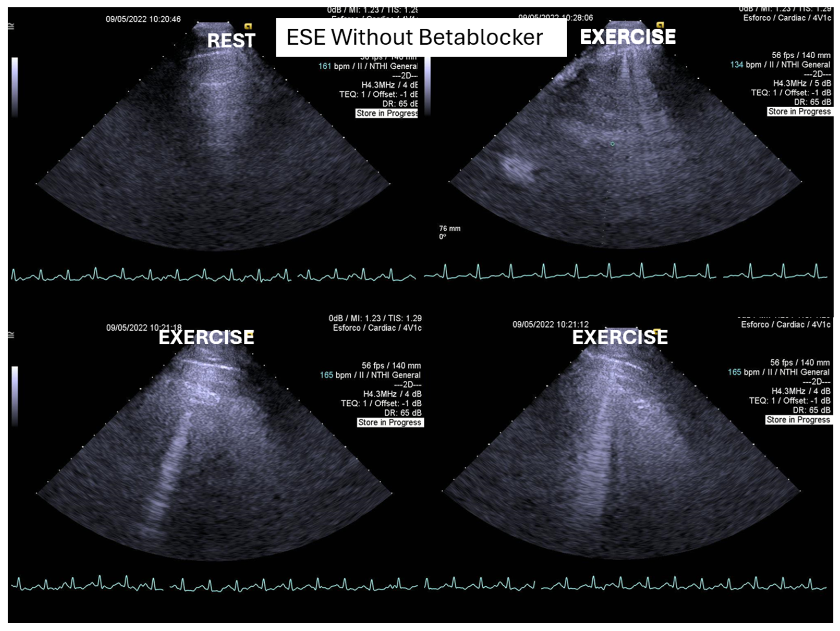 Biomedicines 13 02035 g003