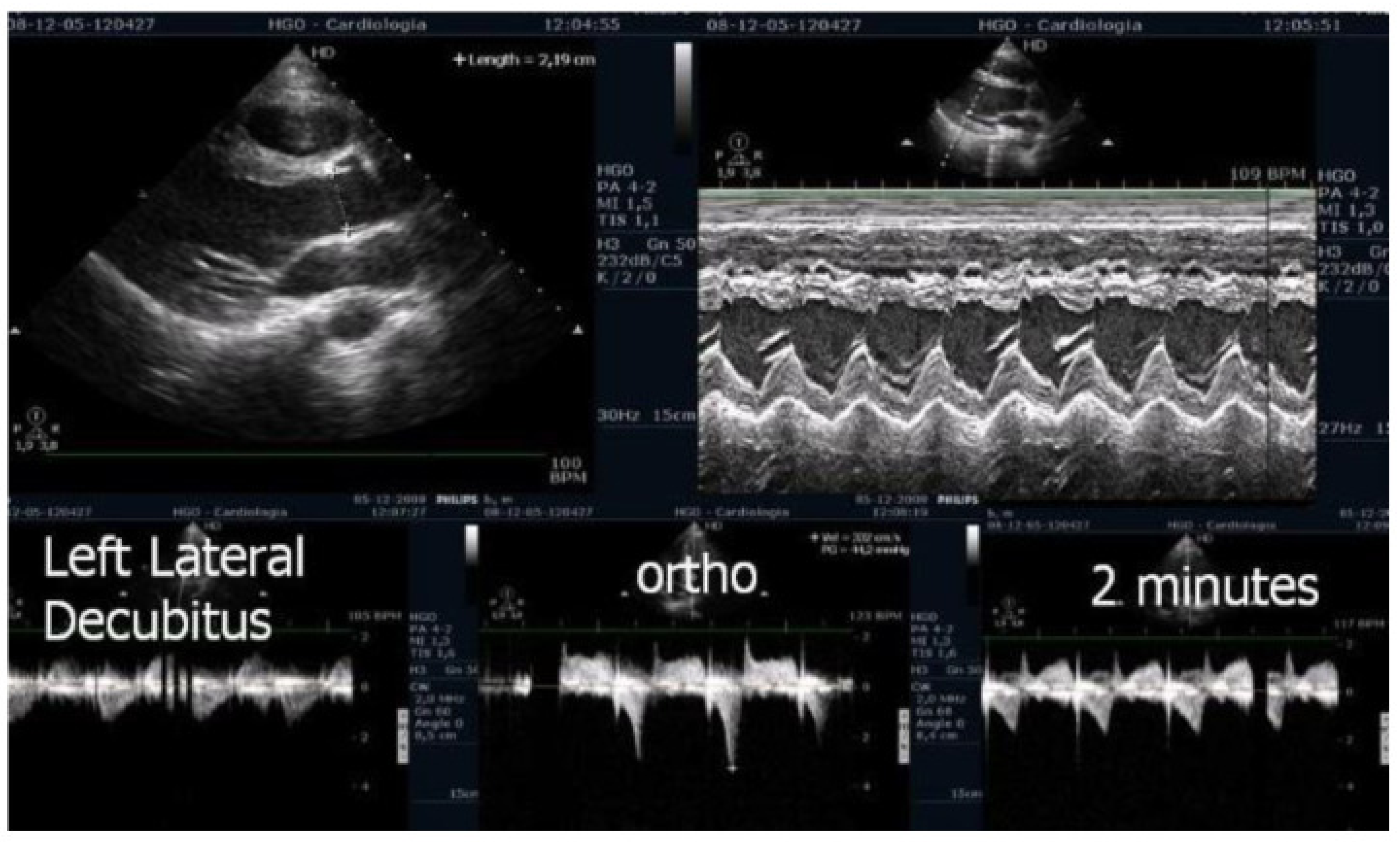 Biomedicines 13 02035 g005