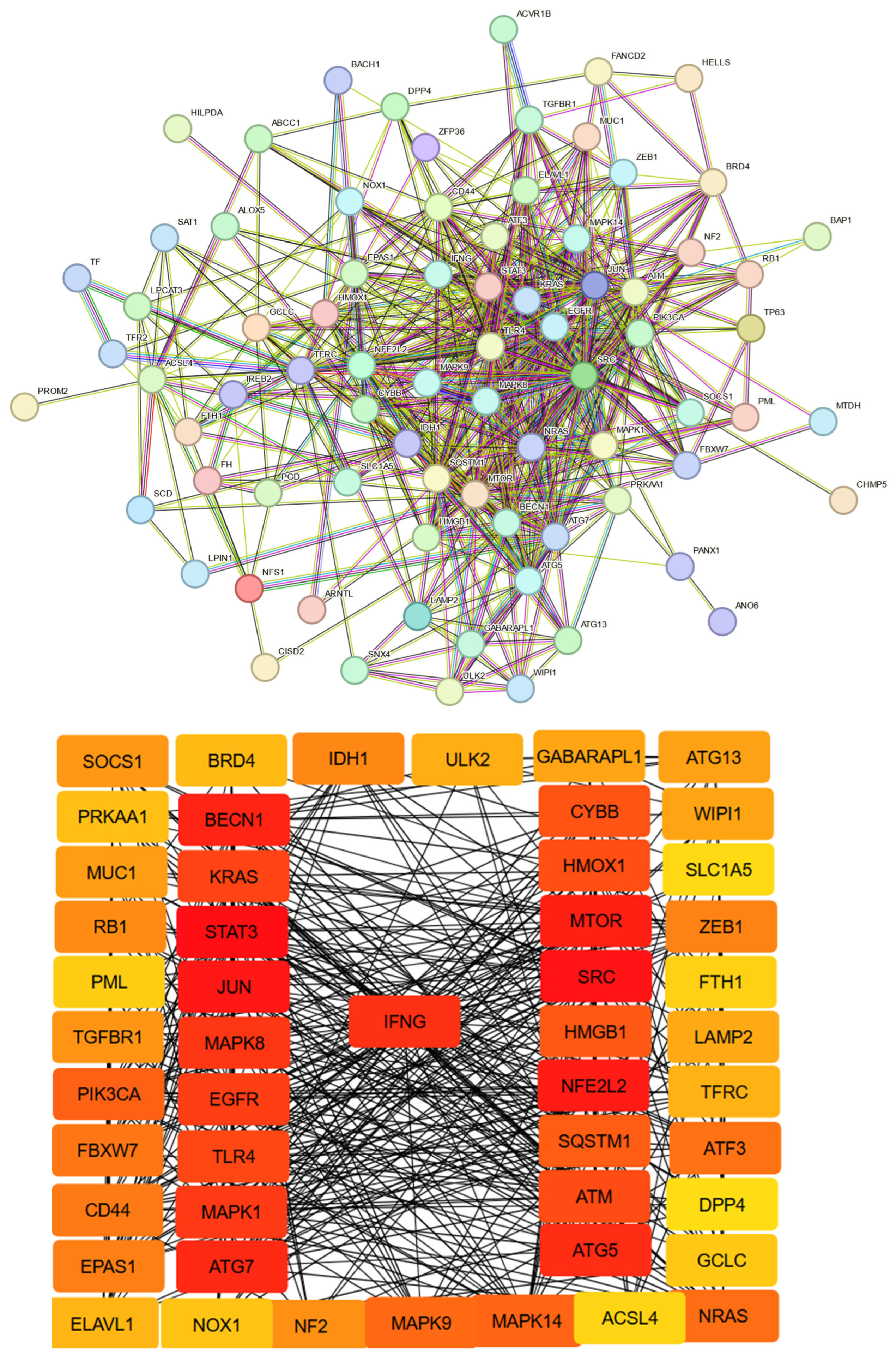 Biomedicines 13 02037 g001
