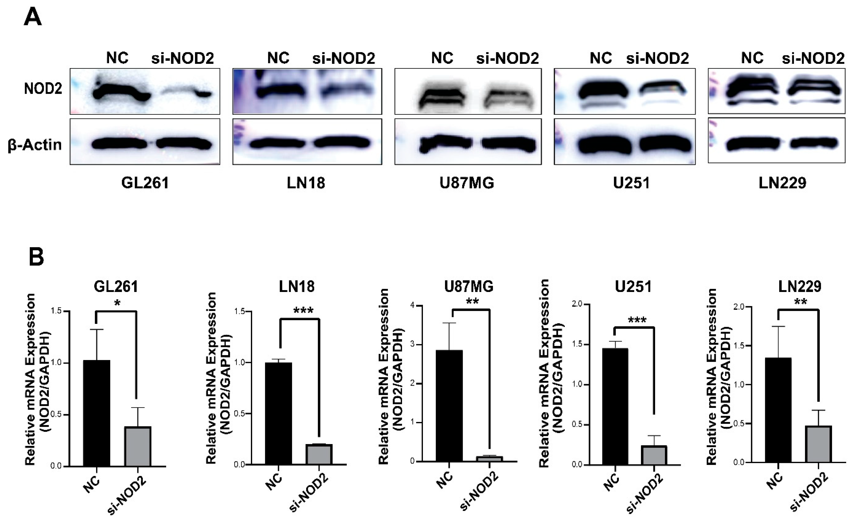 Biomedicines 13 02041 g003 Biomedicines 13 02041 g003