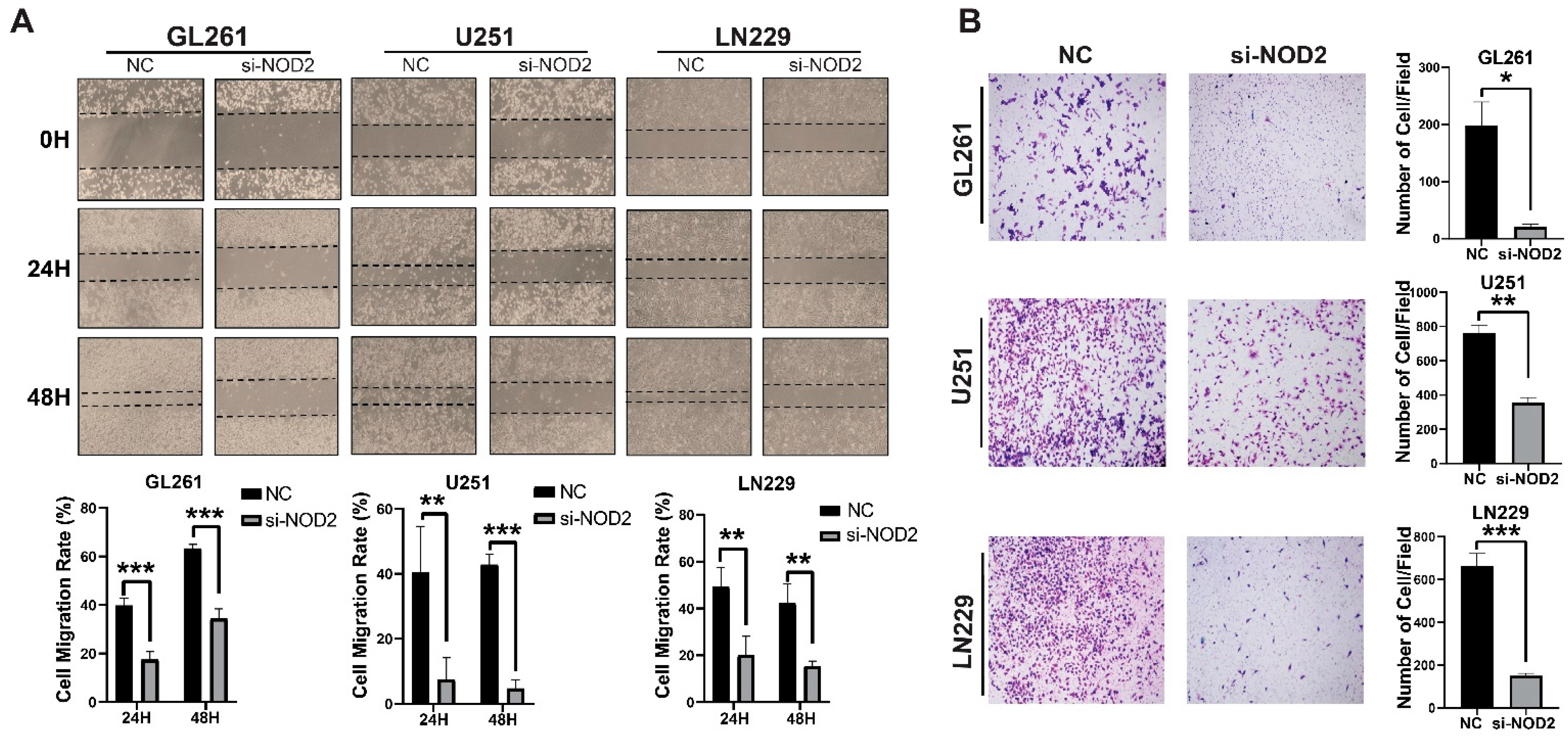 Biomedicines 13 02041 g005 Biomedicines 13 02041 g005