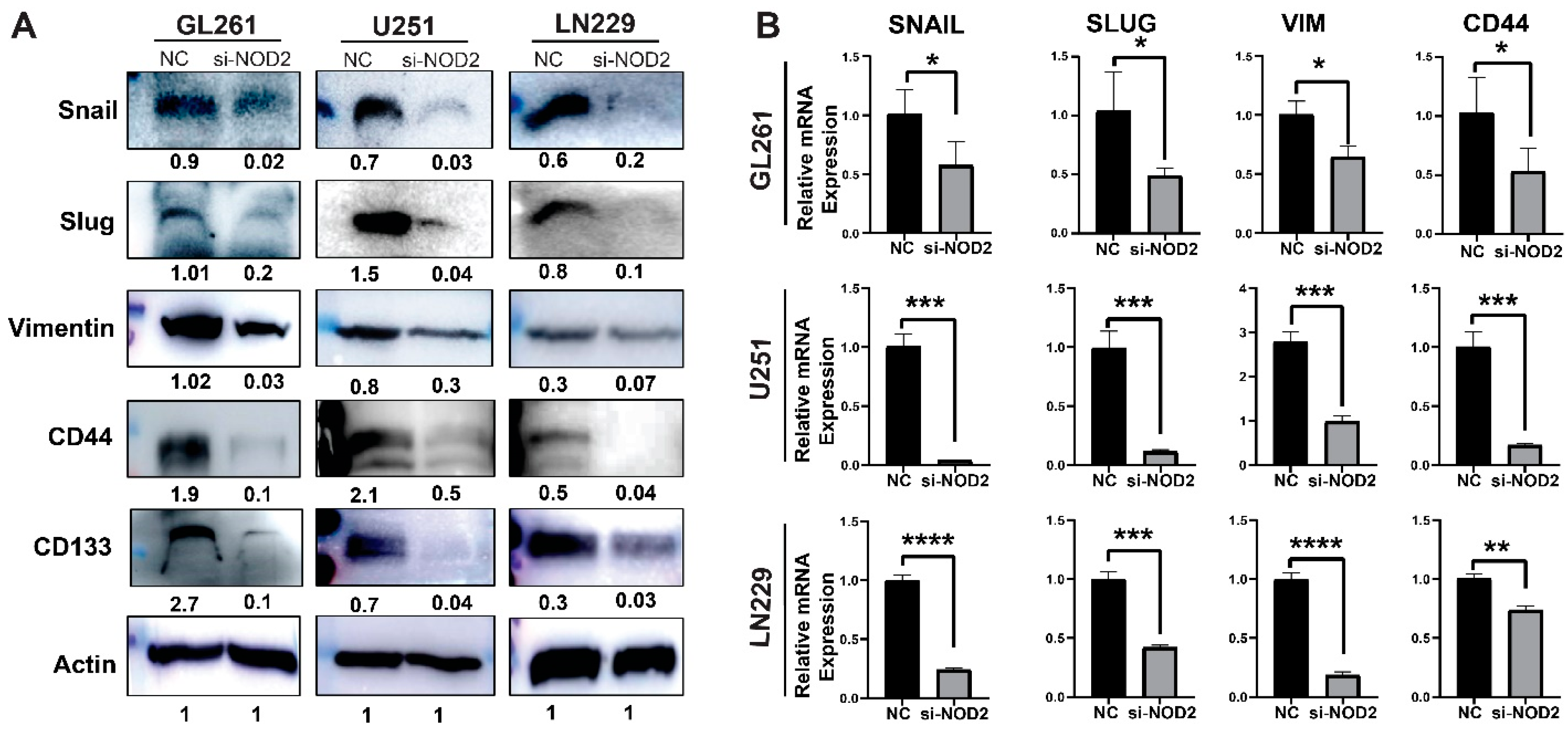Biomedicines 13 02041 g006 Biomedicines 13 02041 g006