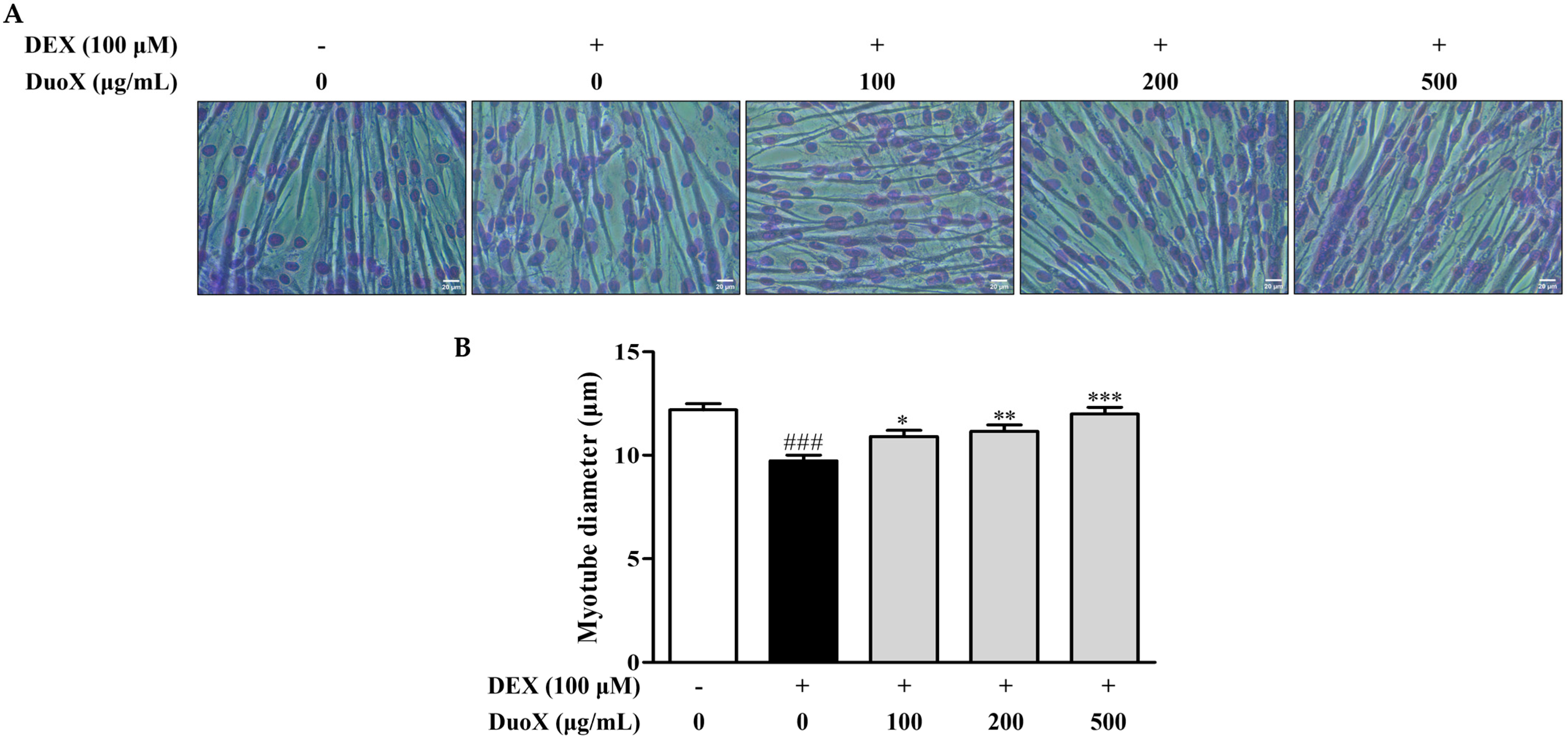 Biomedicines 13 02046 g001