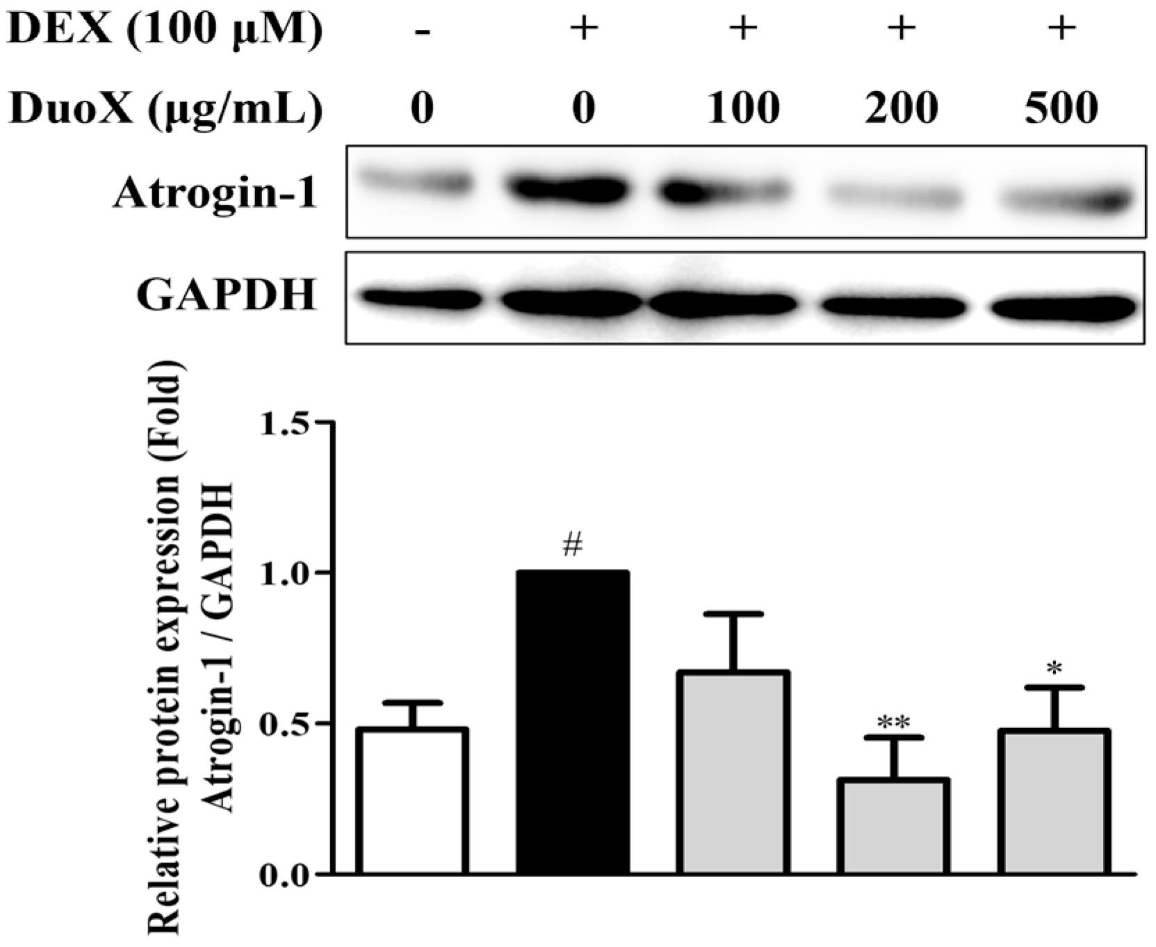 Biomedicines 13 02046 g002