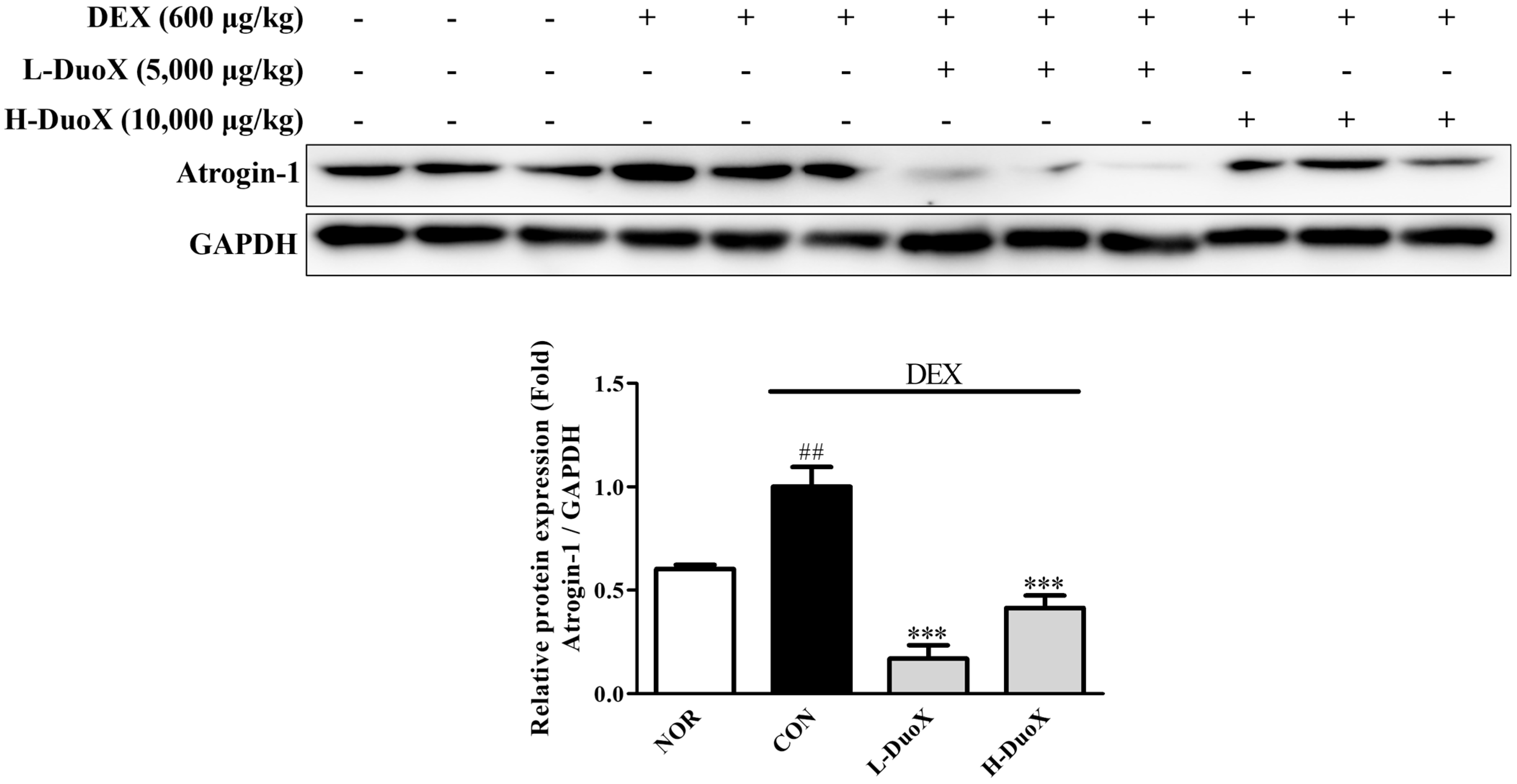 Biomedicines 13 02046 g005