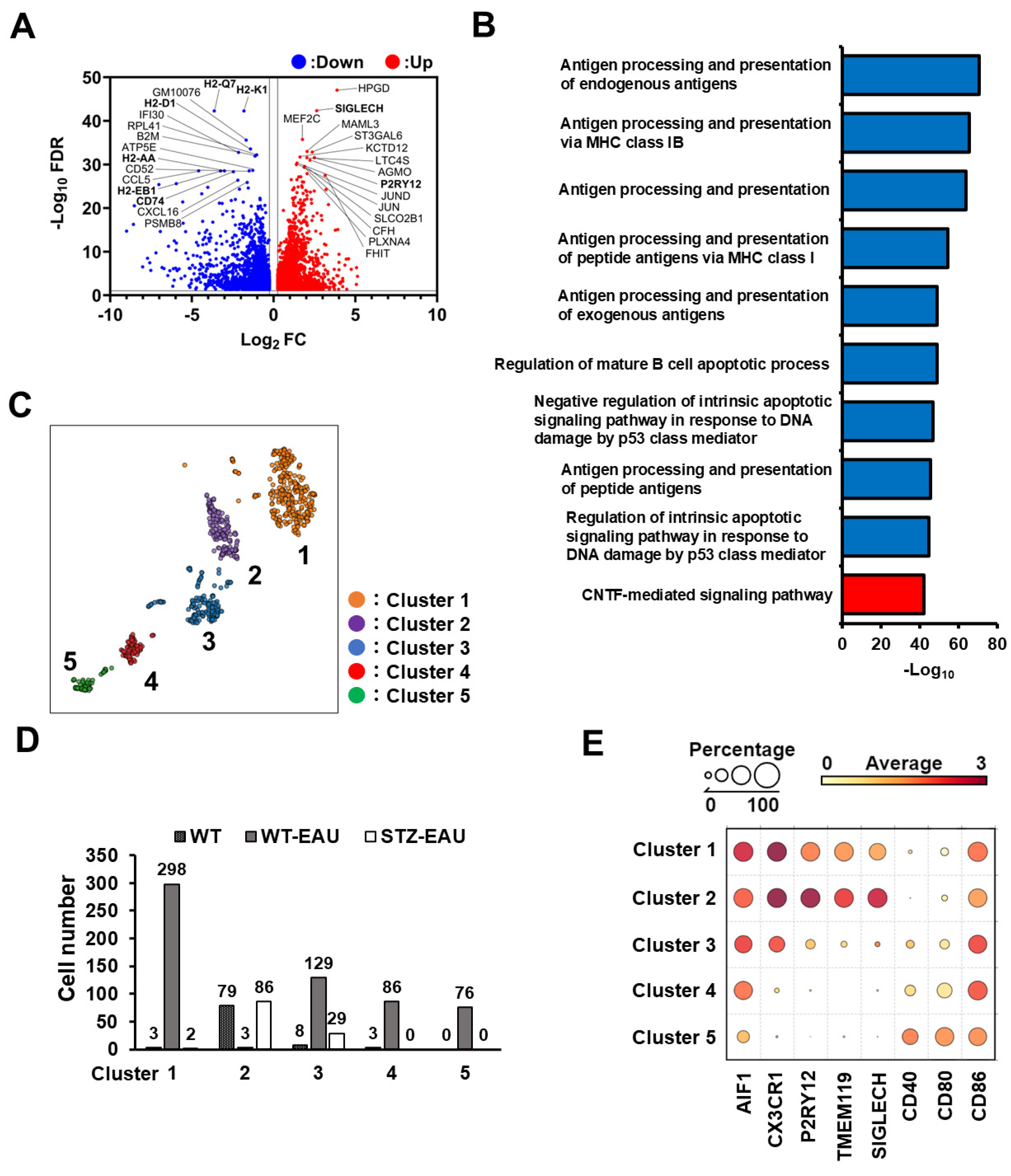 Biomedicines 13 02049 g006a